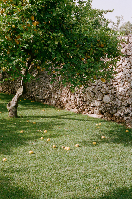 Film, Lemonade