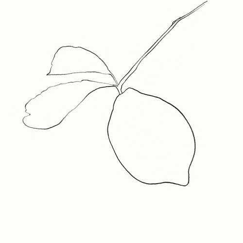From my travel sketchbook, lemon illustration by me