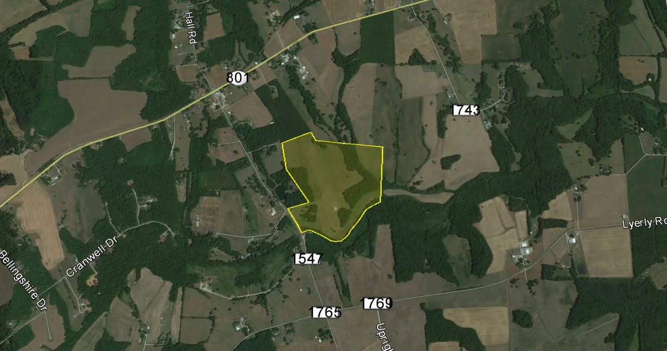 Bear Poplar Website.JPG