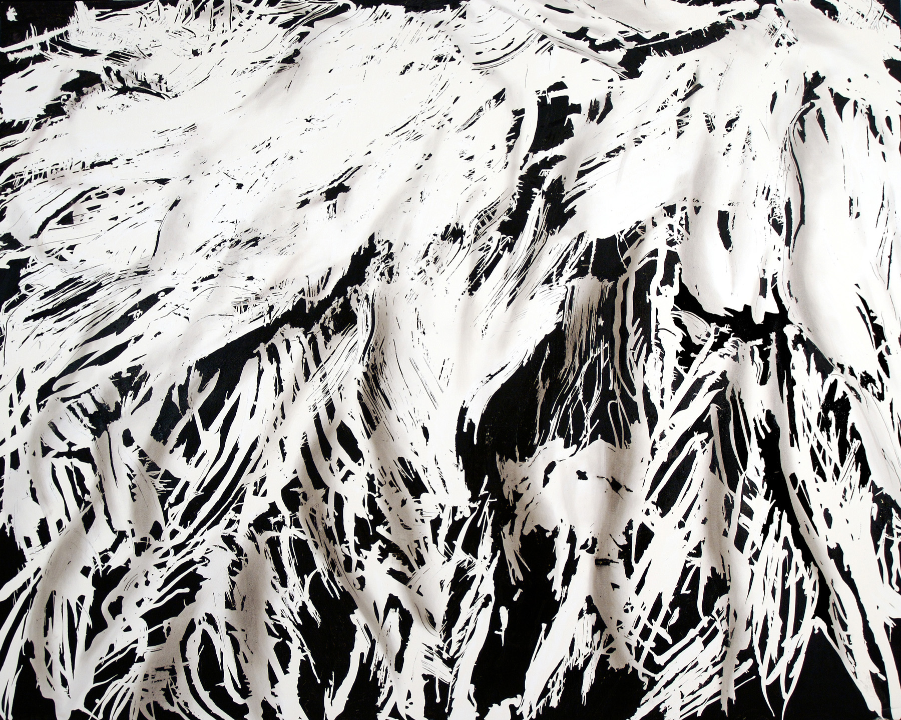   Peri-Antarctic 7 , 2007, oil on canvas, 96 x 120 inches 