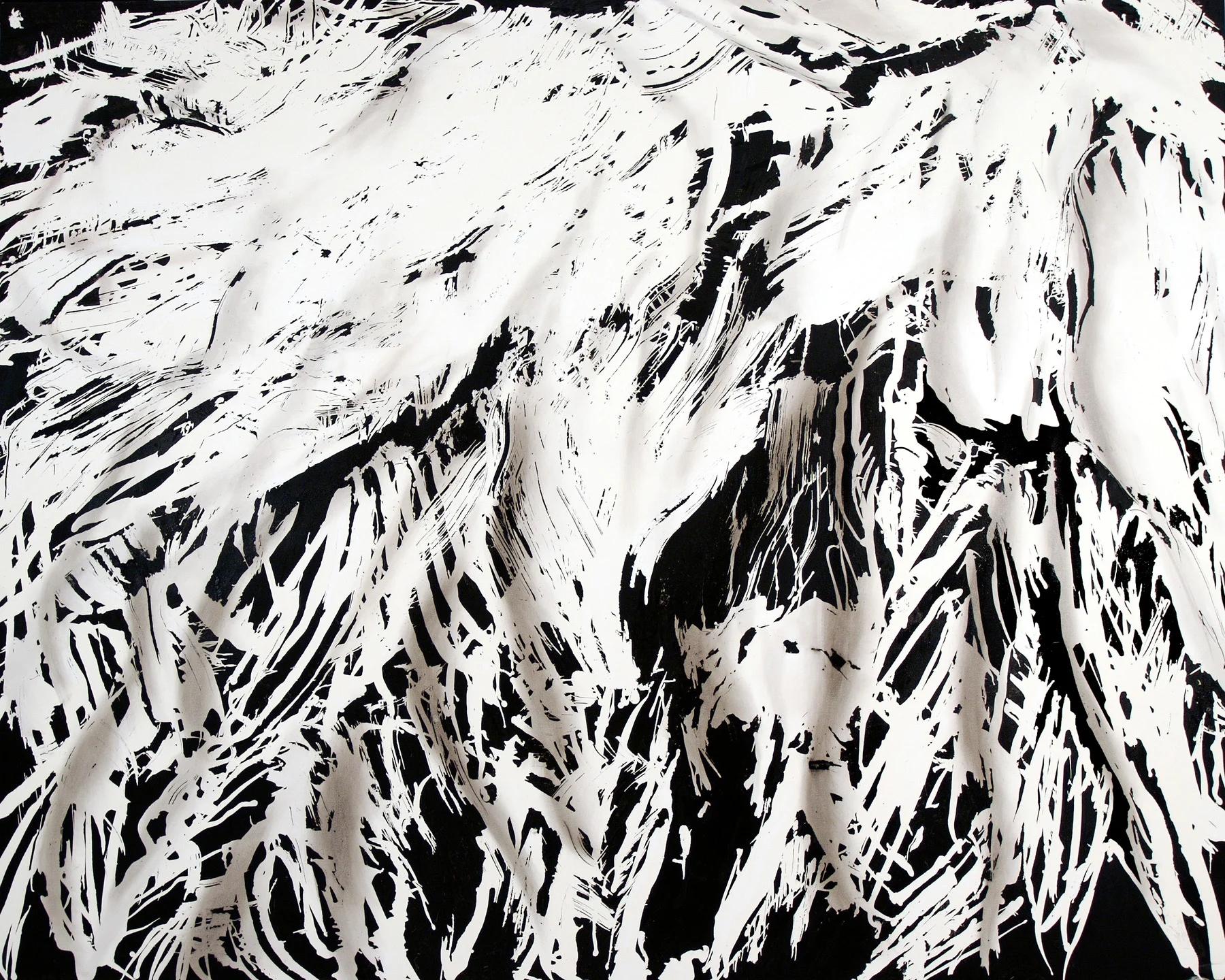 Peri-Antarctic 7 , 2007, oil on canvas, 96 x 120 inches