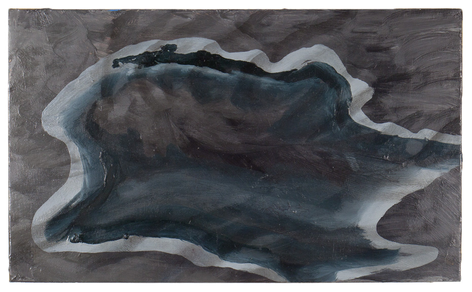  Melt Pond, 2011, oil on canvas, 8 x 12 inches 