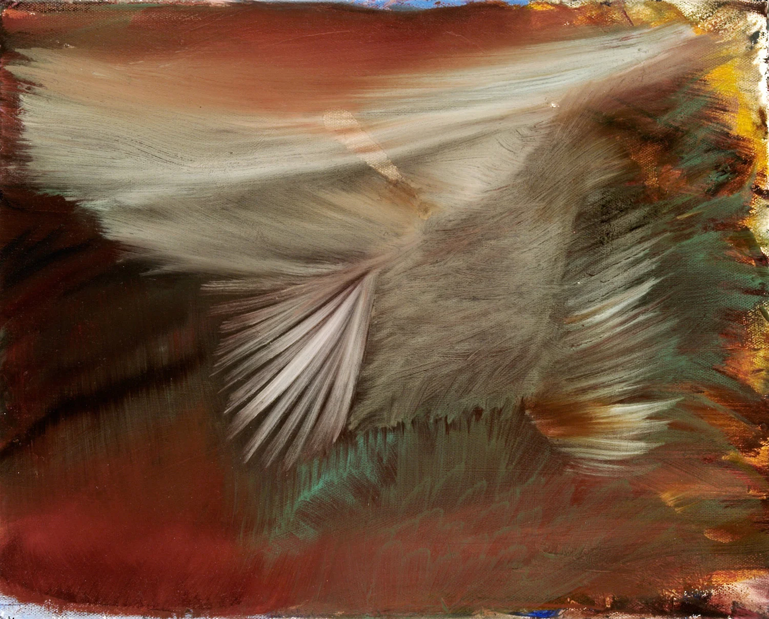 winged-puff.jpg