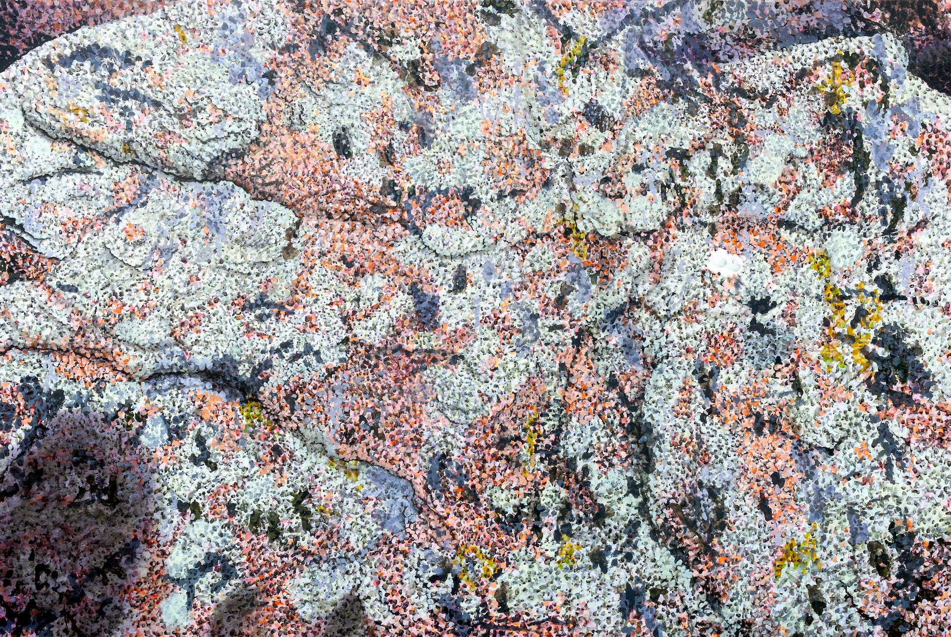  Rock with Lichens, 2019, acrylic on canvas, 72 x 108 inches 