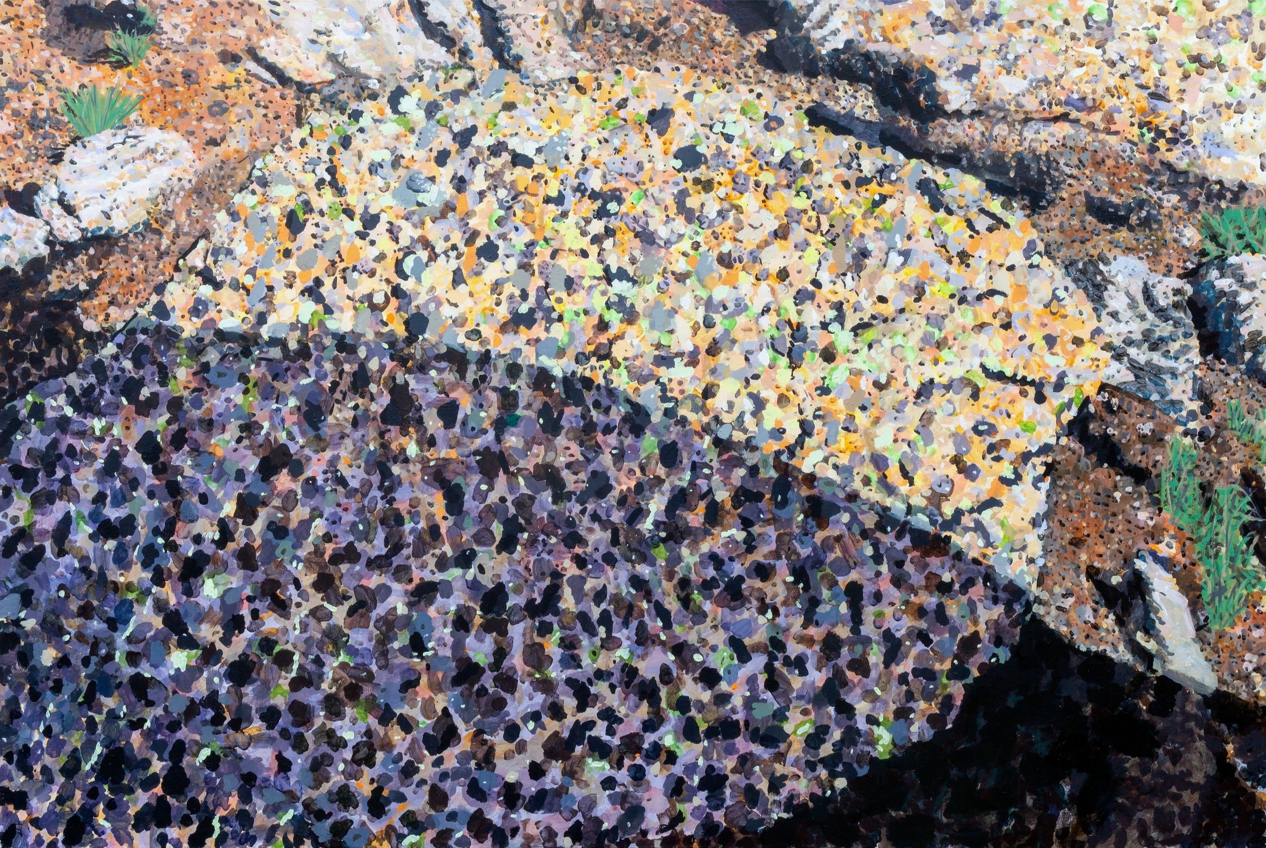  Rock with Lichens and Shadow, 2019, acrylic on canvas, 60 x 90 inches 