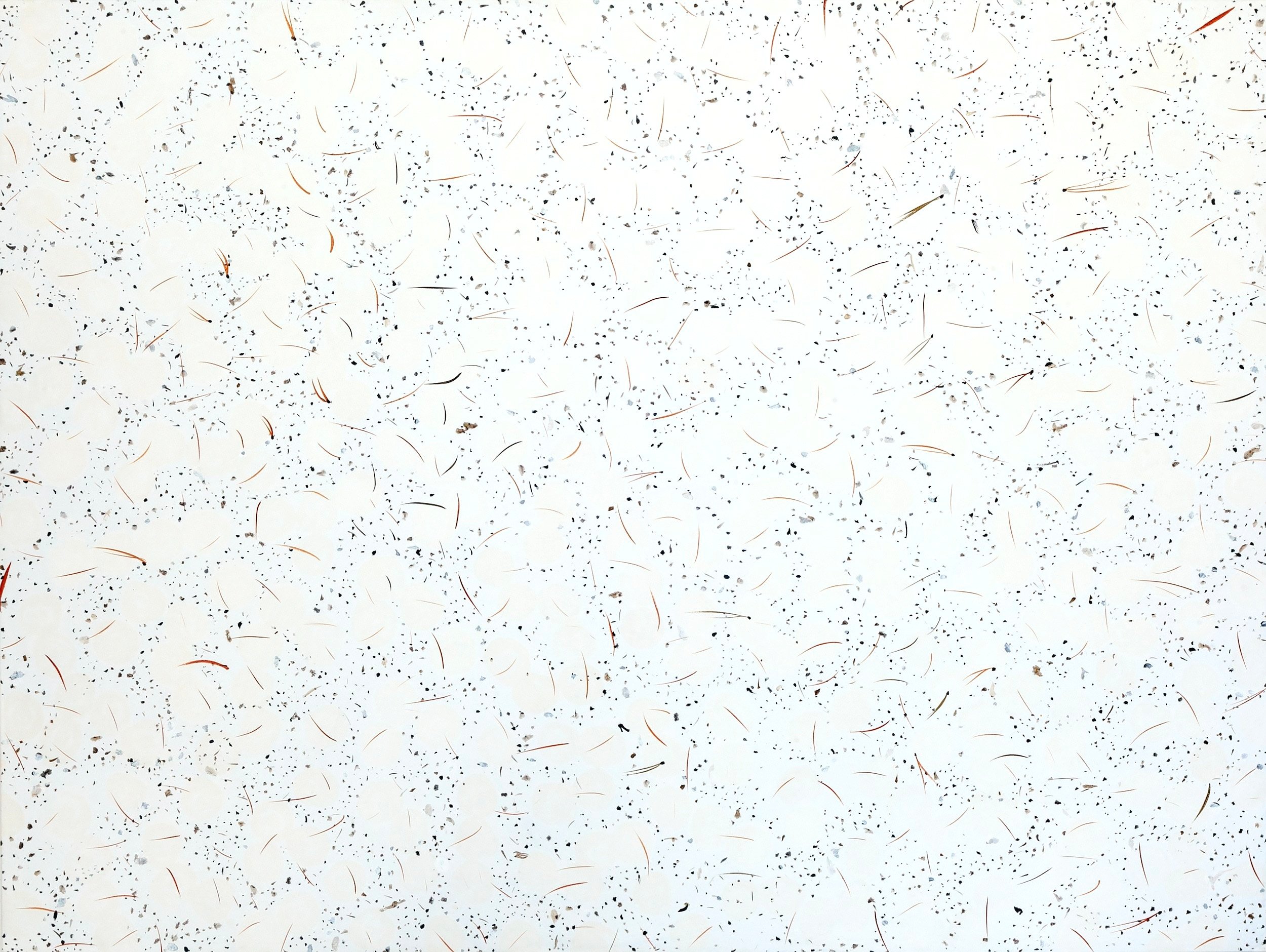  2020, acrylic on canvas, 52 x 60 inches 