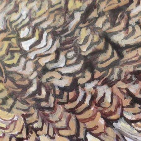 18 Florican Bustard.jpg