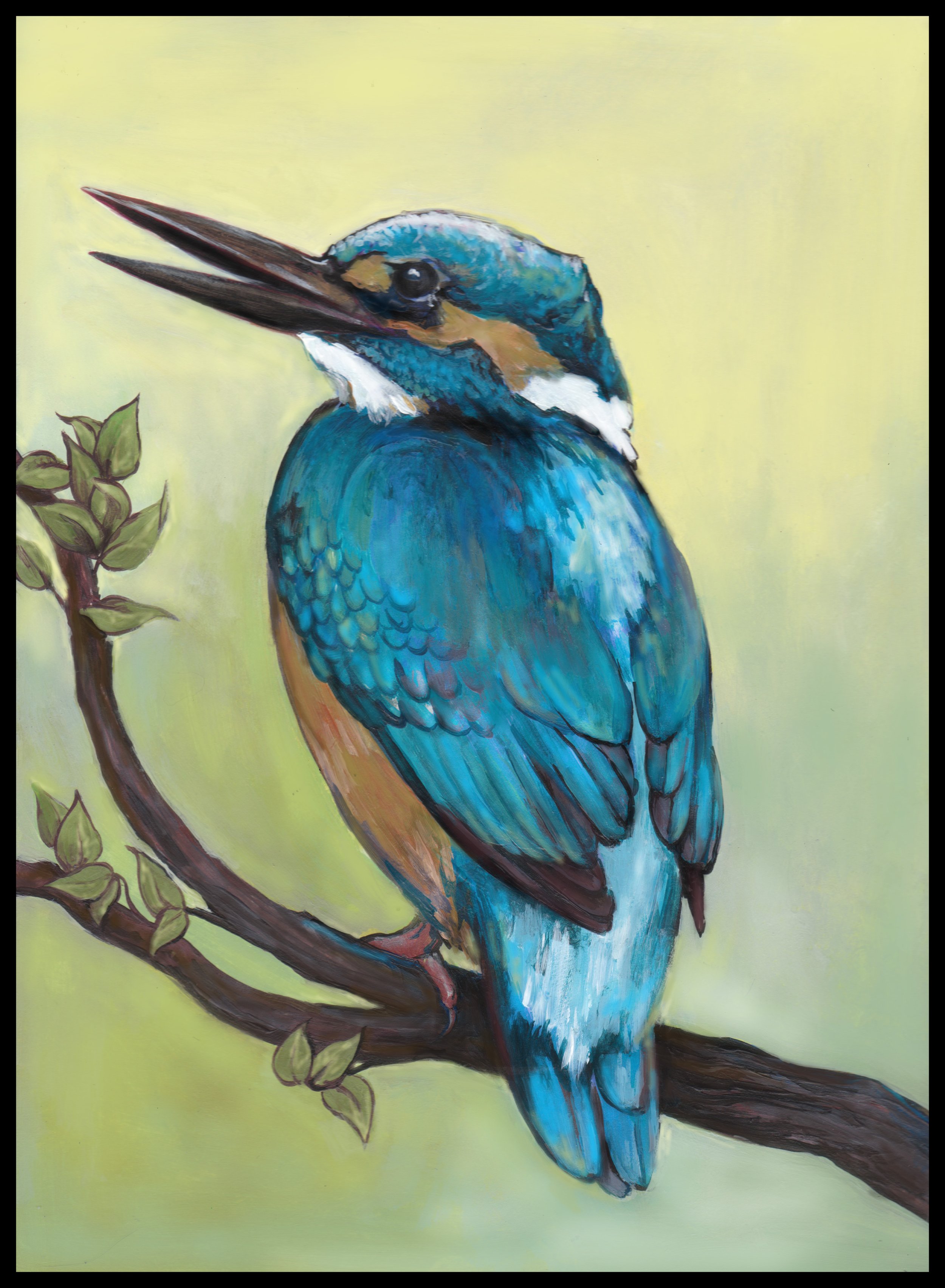 Asian Kingfisher for FeatherCraft Book