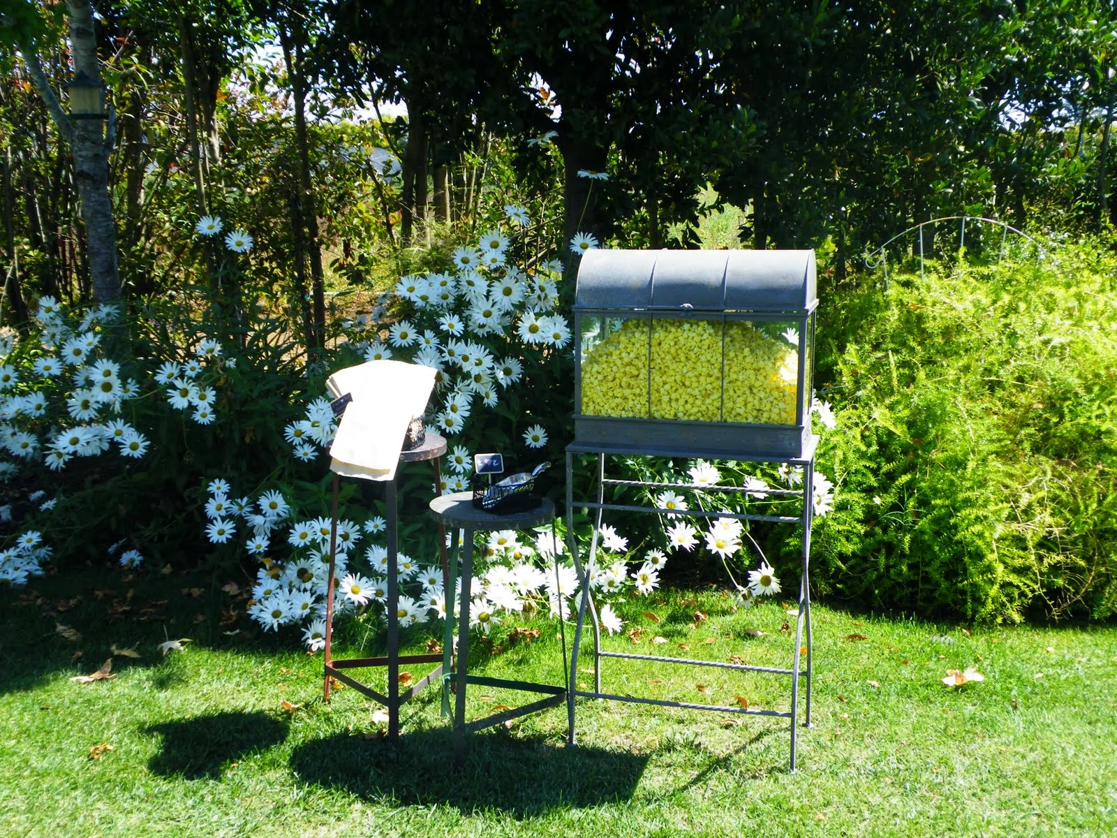 marias-1st-event-055.jpg