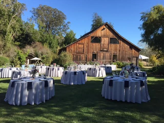 Barn Wedding.jpeg