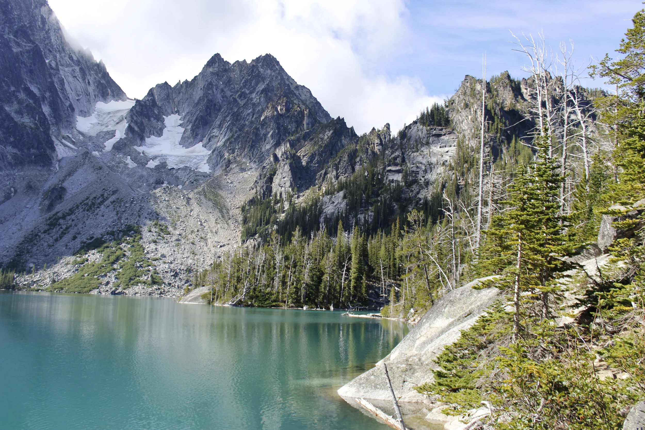_MG_1239.JPG