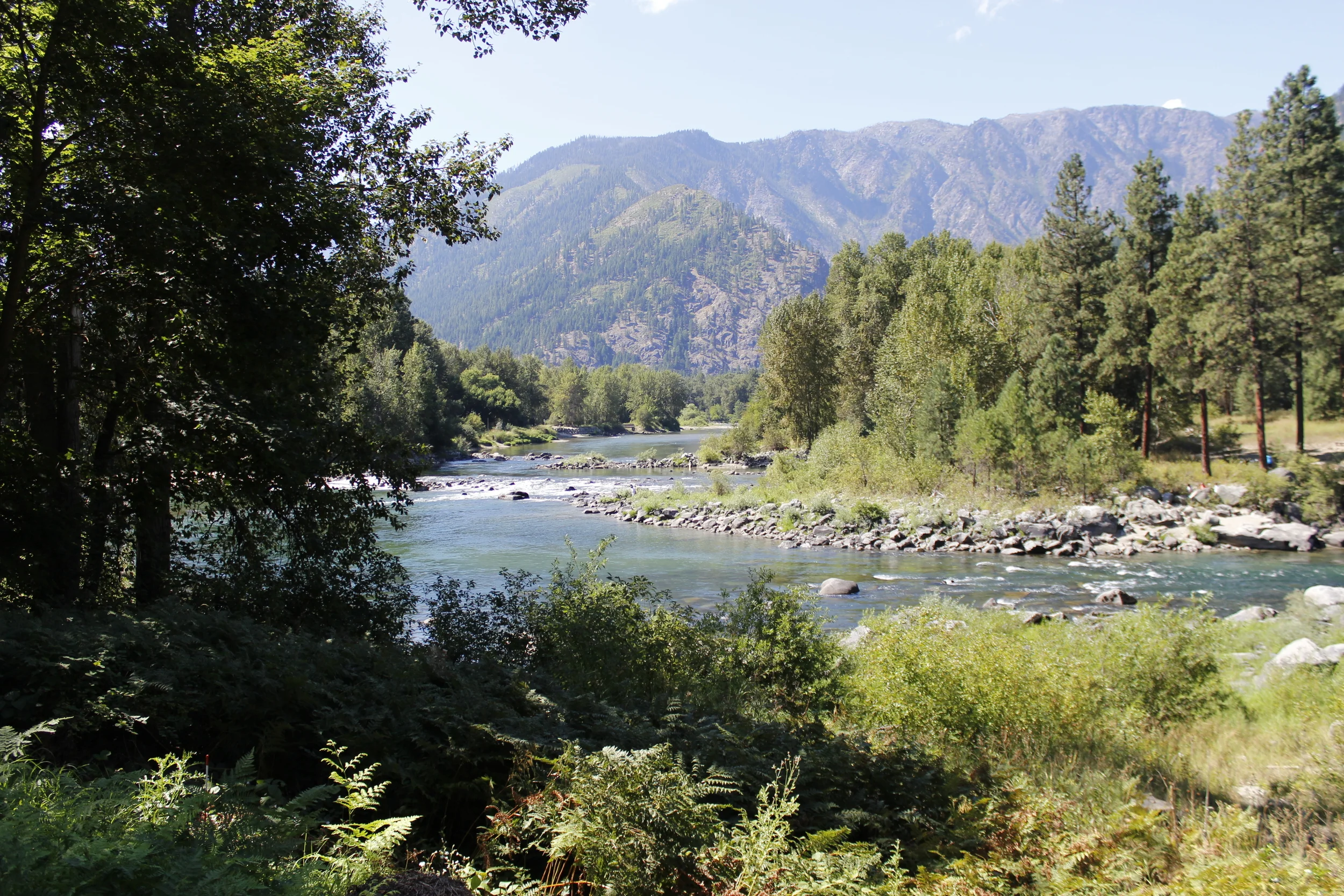 _MG_1178.JPG