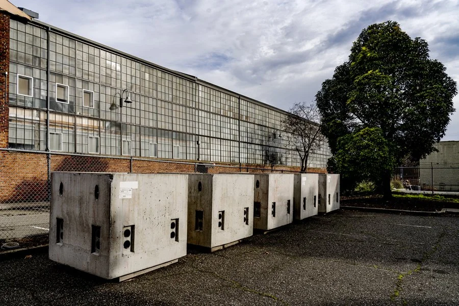 SquaredUp1_Bayshore_DSC5163_12026 resize 900.jpg