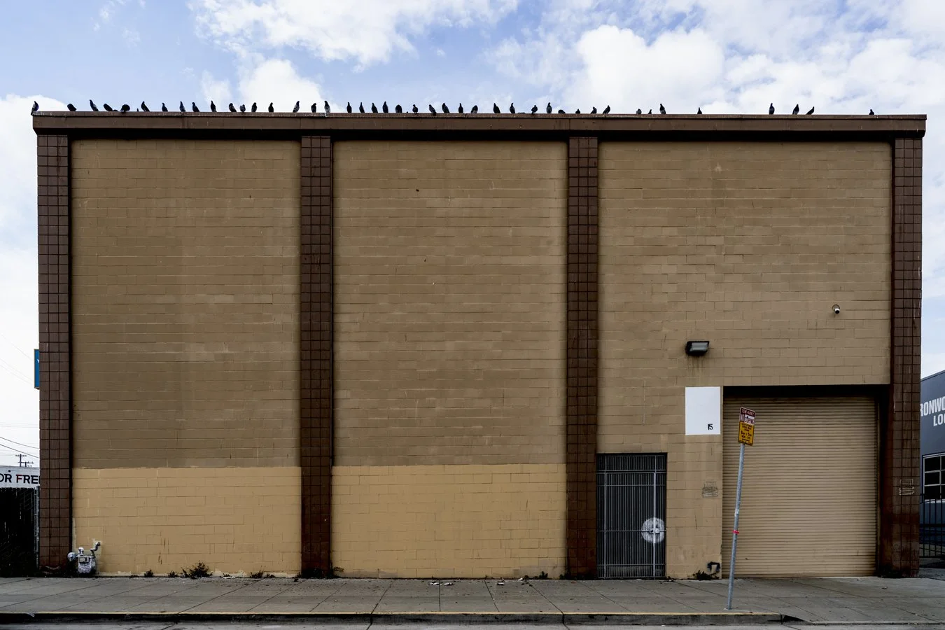 Building 15 with Birds, San Francisco, 2025