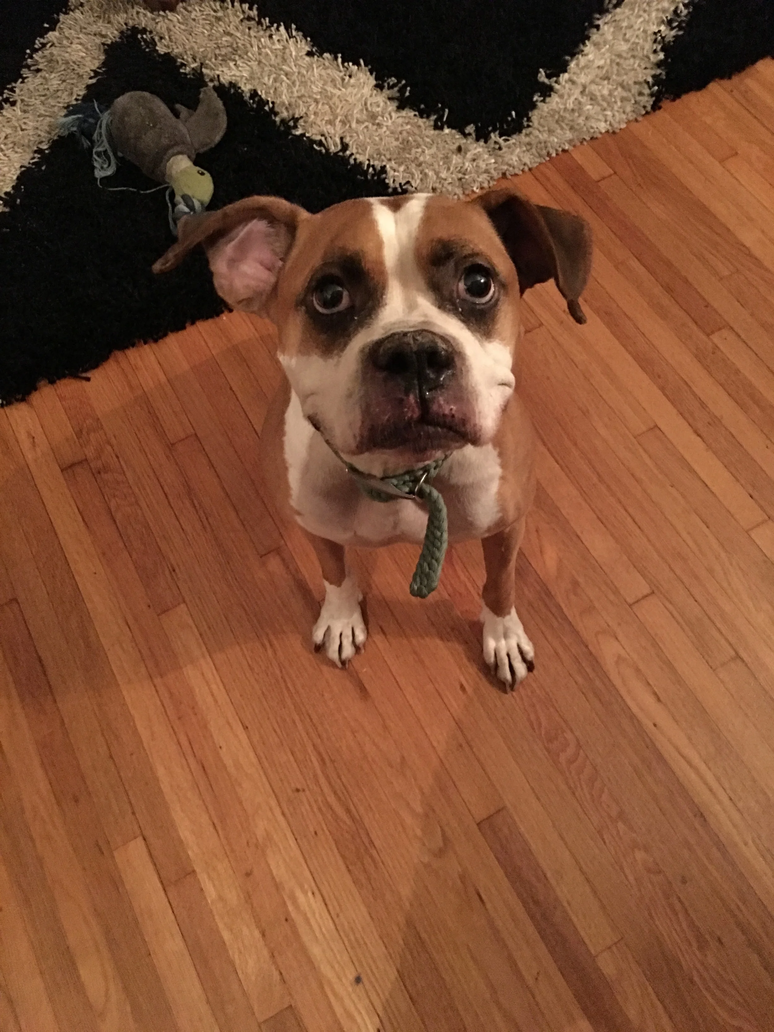 This face. That's all I wanted. 