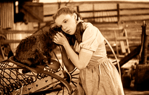 Dorothy and Toto are reunited, bitches. 