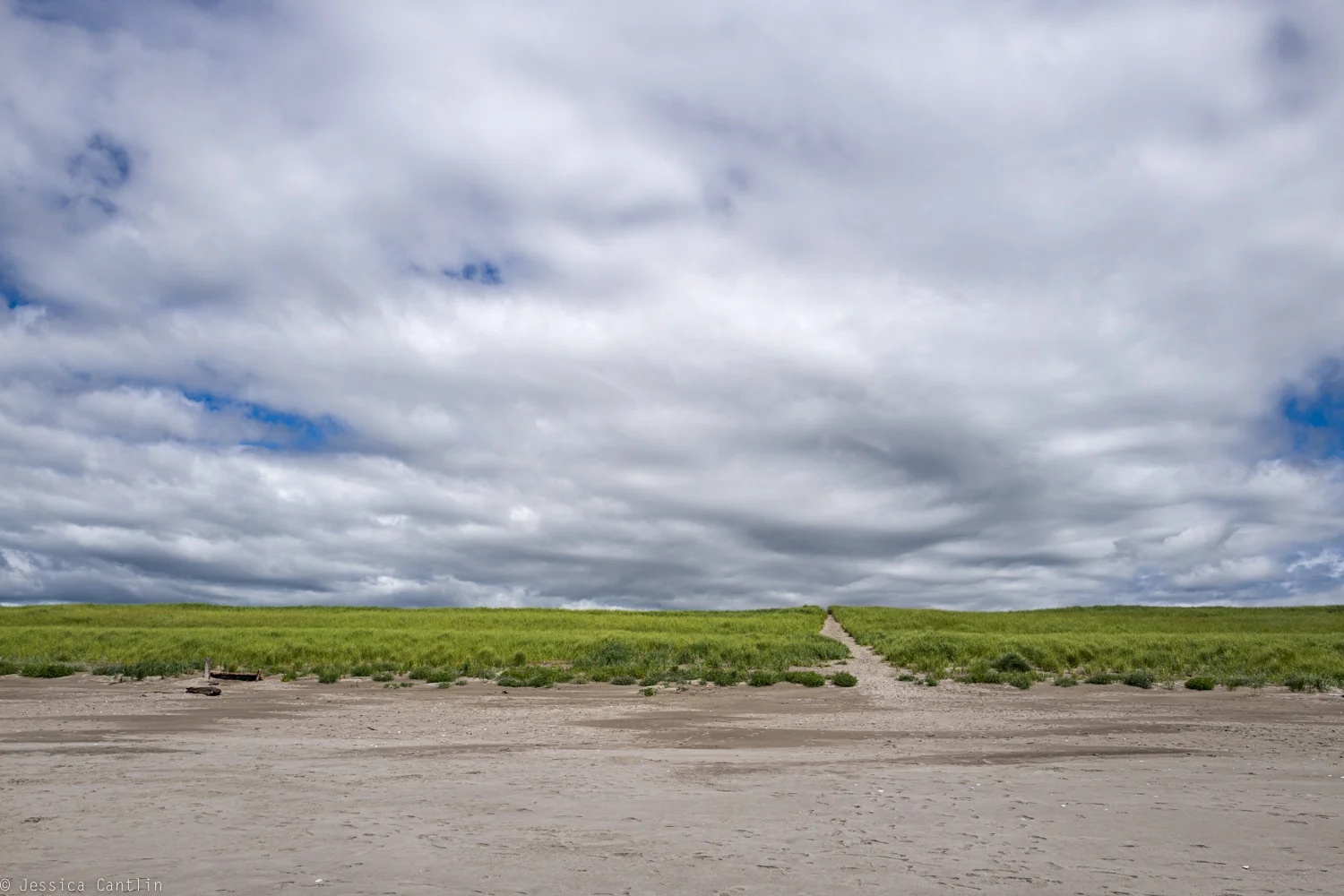Dunes at Gearhart Beach