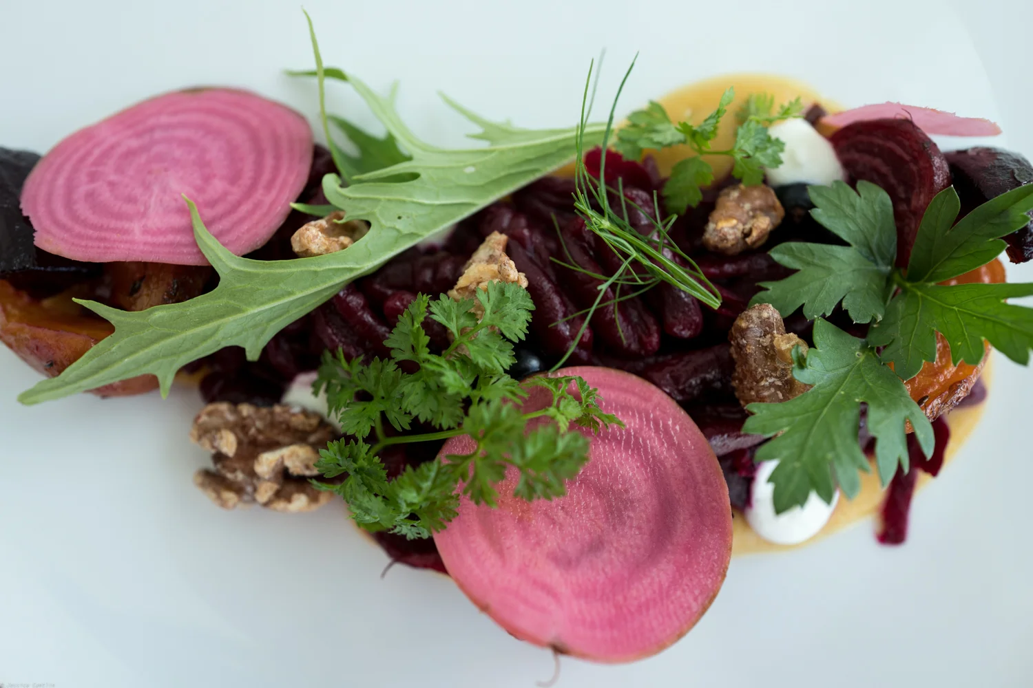 Lunch at Fogo Island Inn