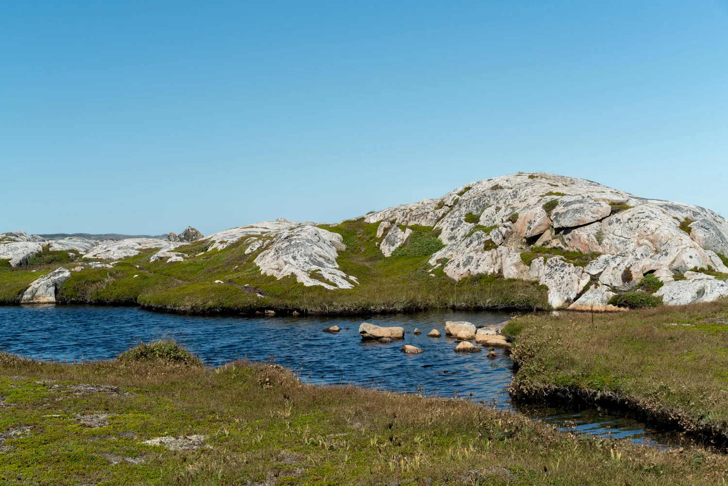 Hiking through Oliver's Cove