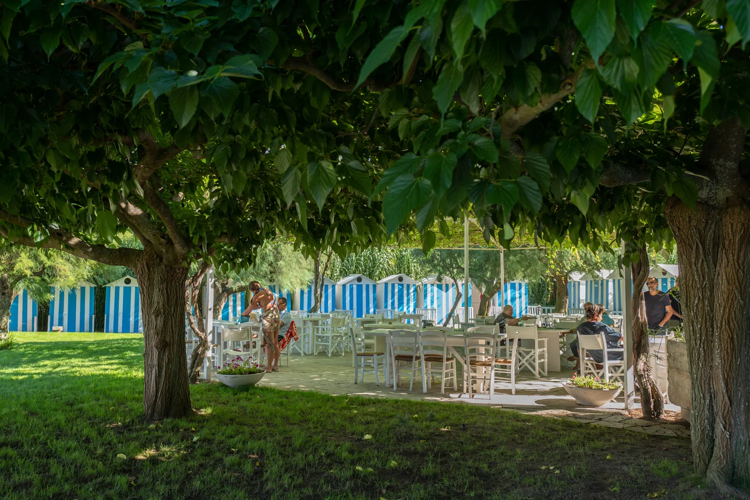 Lunch under the pergola at Lido La Castellana
