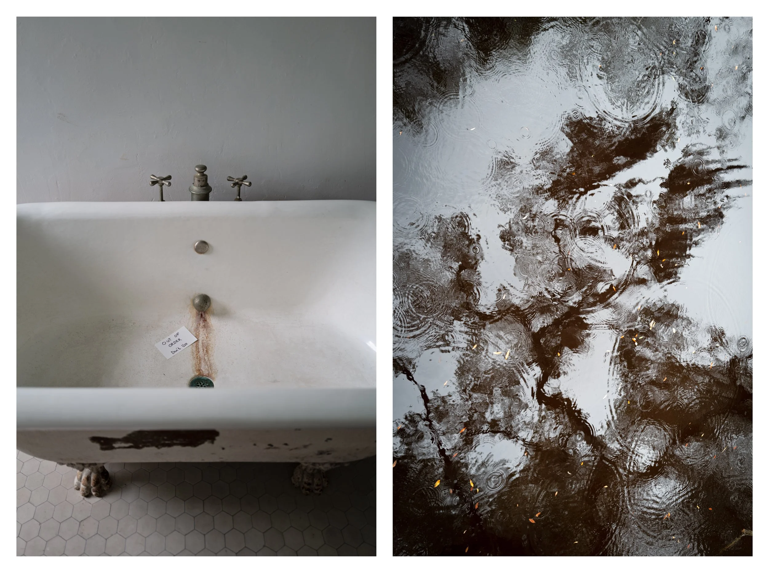   Washed in Reflection , Cumberland Island, 2022 