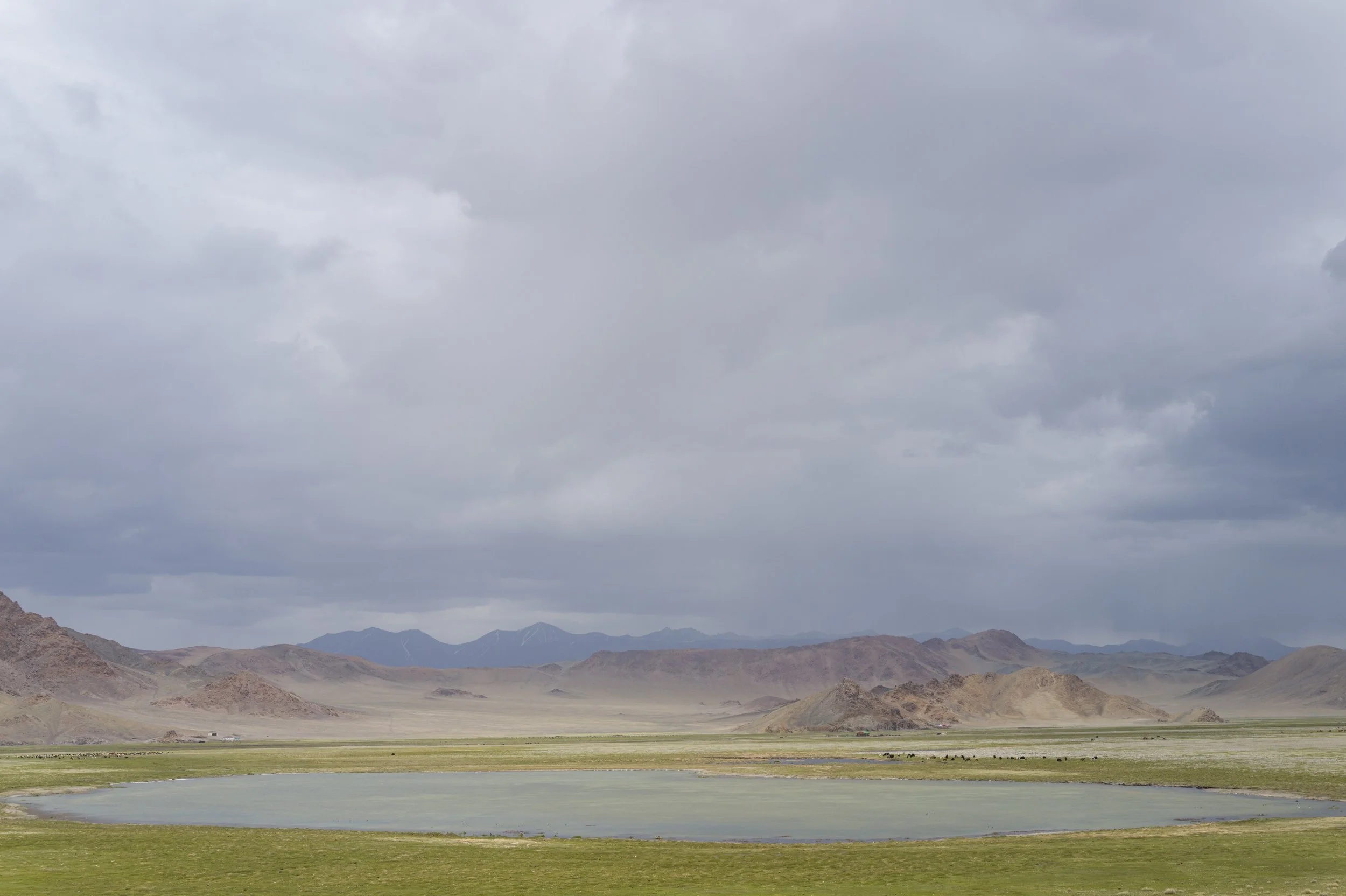   Oasis , Mongolia, 2025 