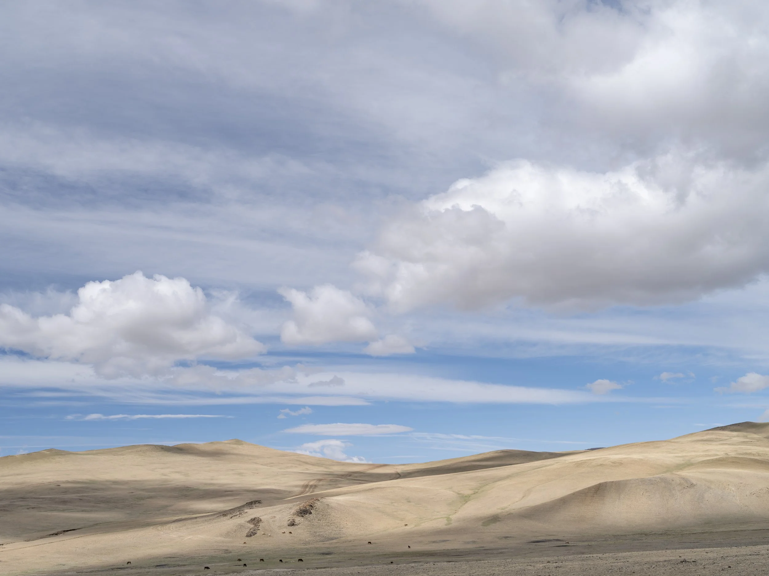   Gold Hills , Mongolia, 2025 