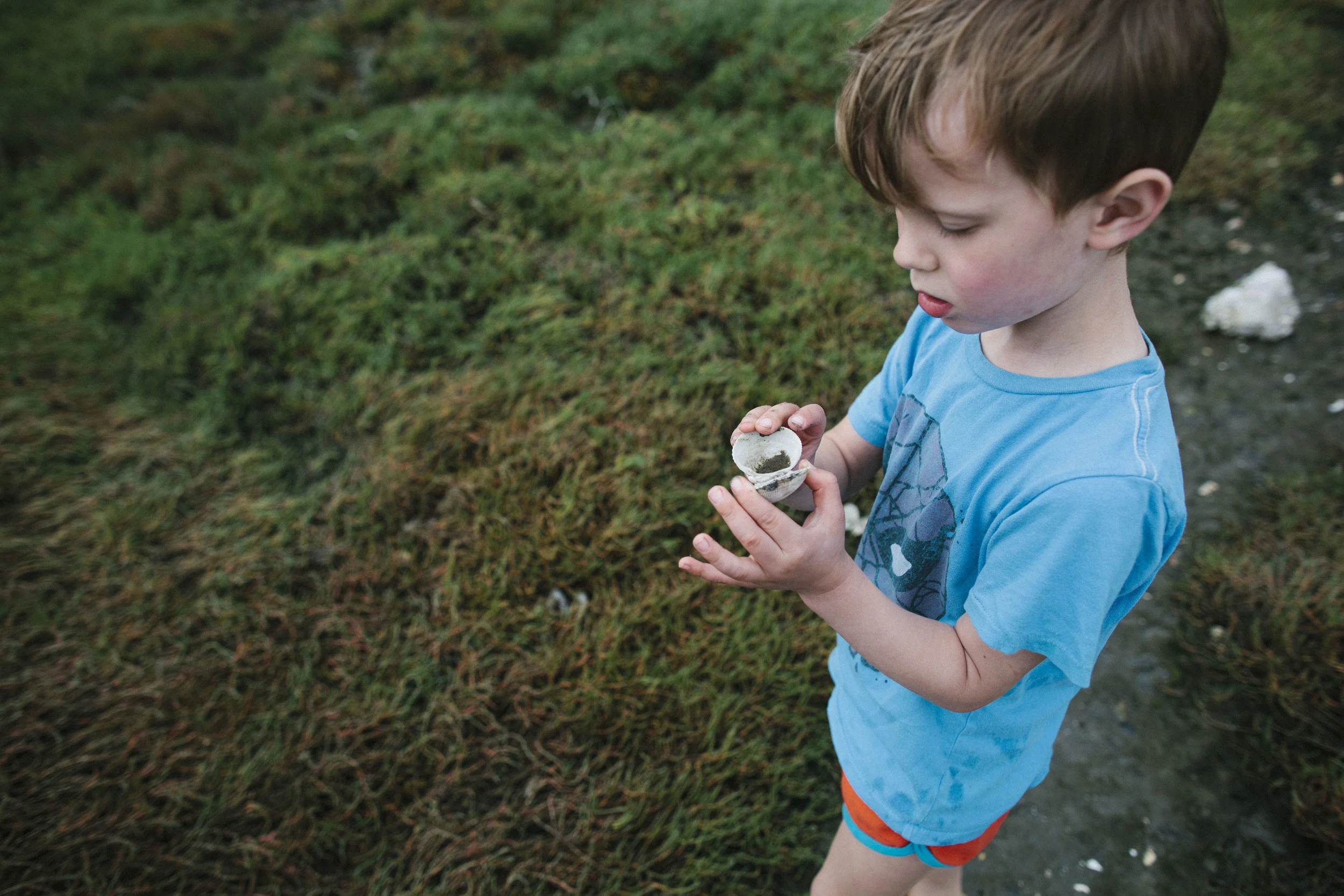 20150815-_MG_1756-297.jpg