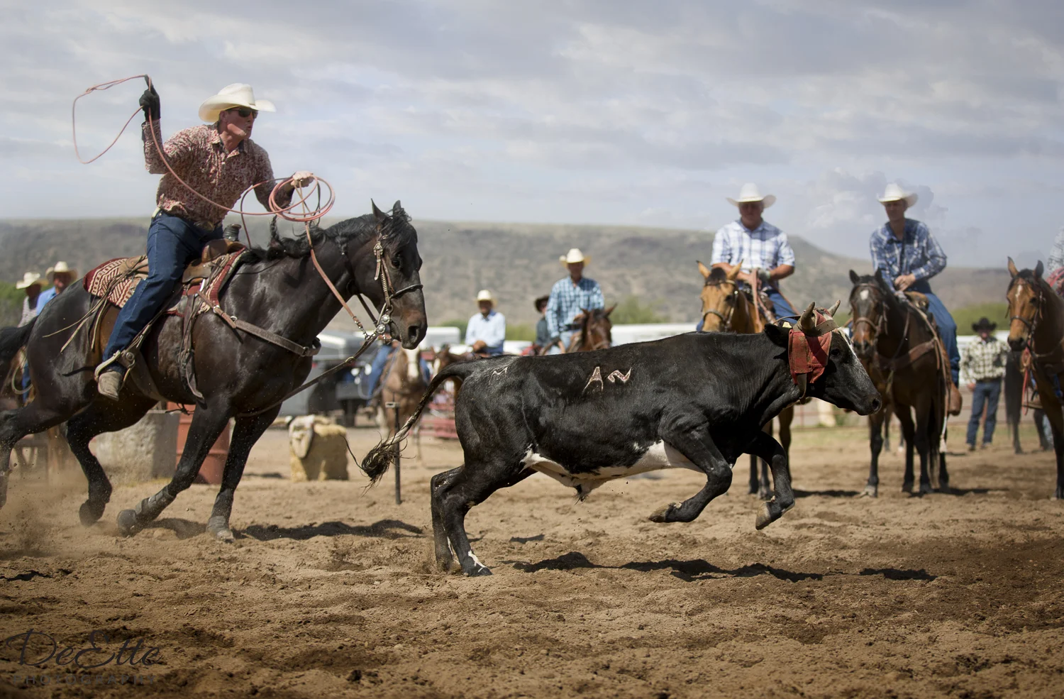 AC9A0612 Roper.jpg
