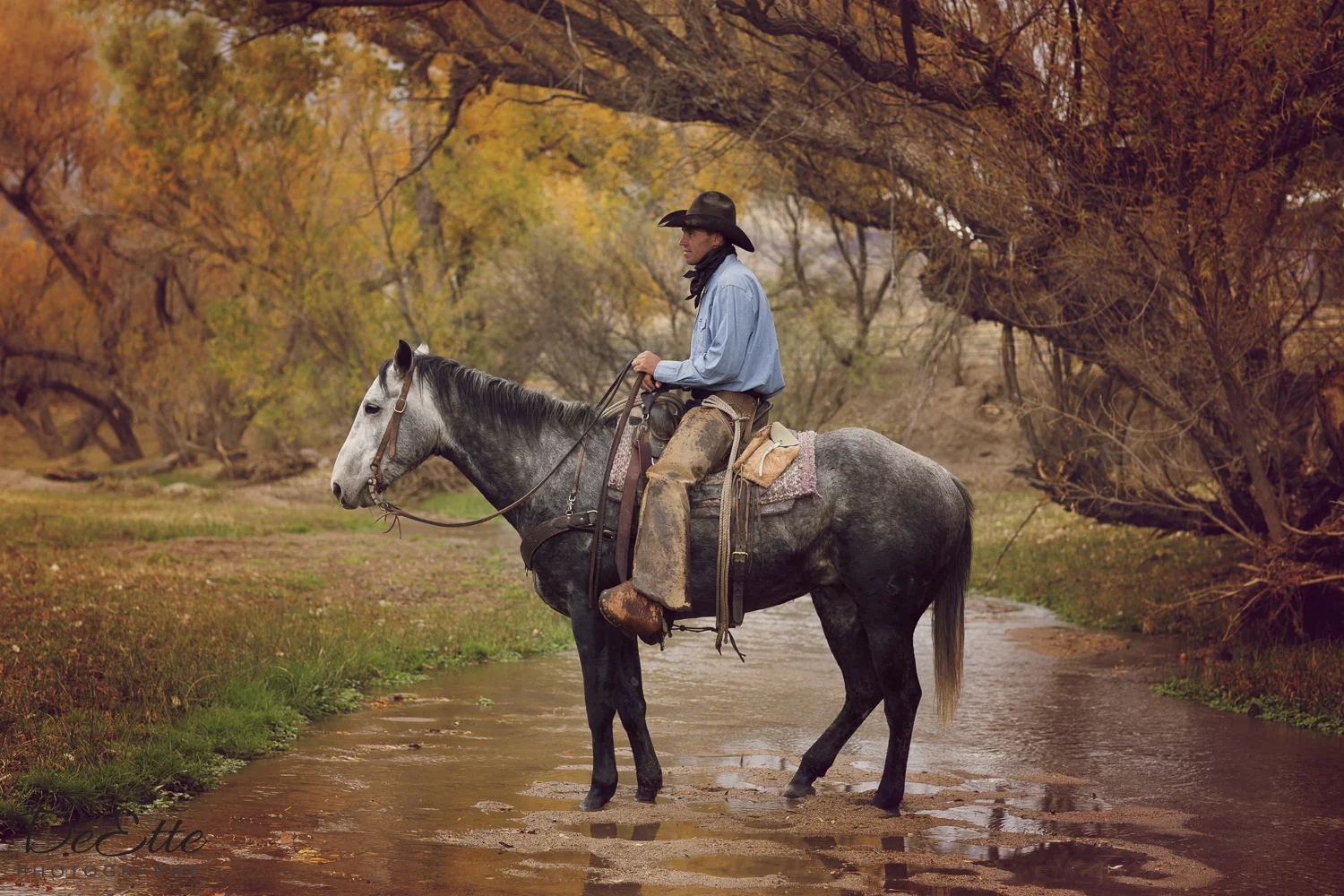 AC9A1020 Arizona Cowboy.jpg