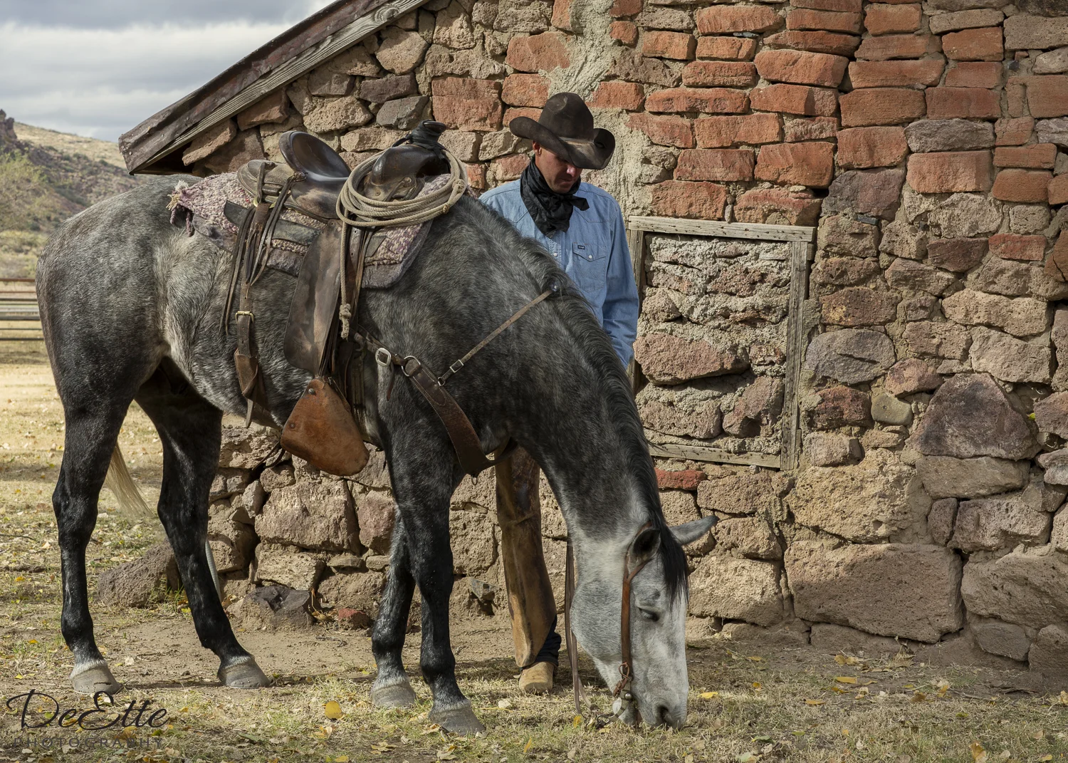 AC9A1393 Ready to Ride.jpg
