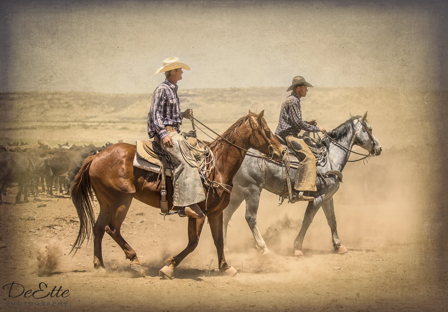 AC9A5293-a Hot and Dusty.jpg