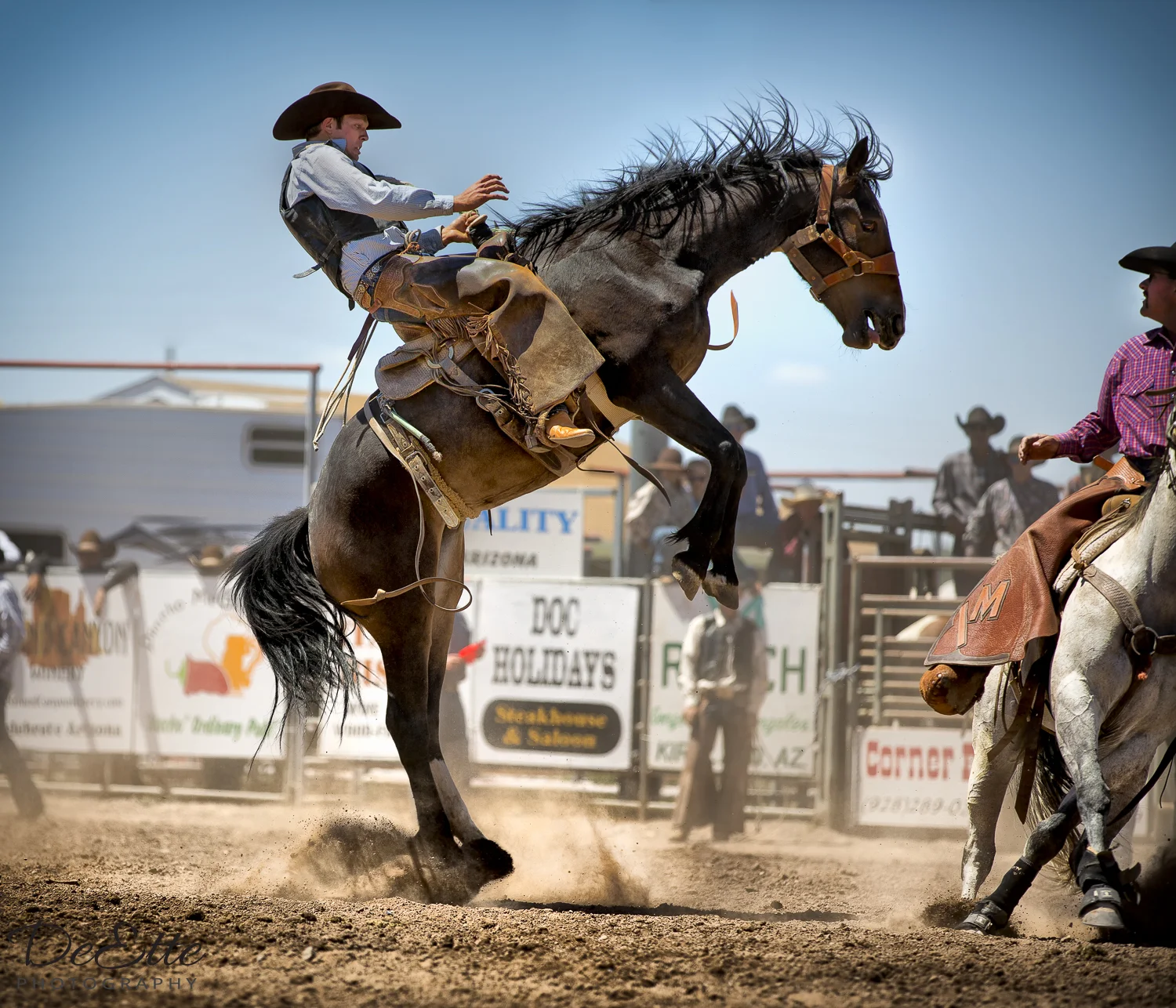 AC9A6696-Wild Ride.jpg