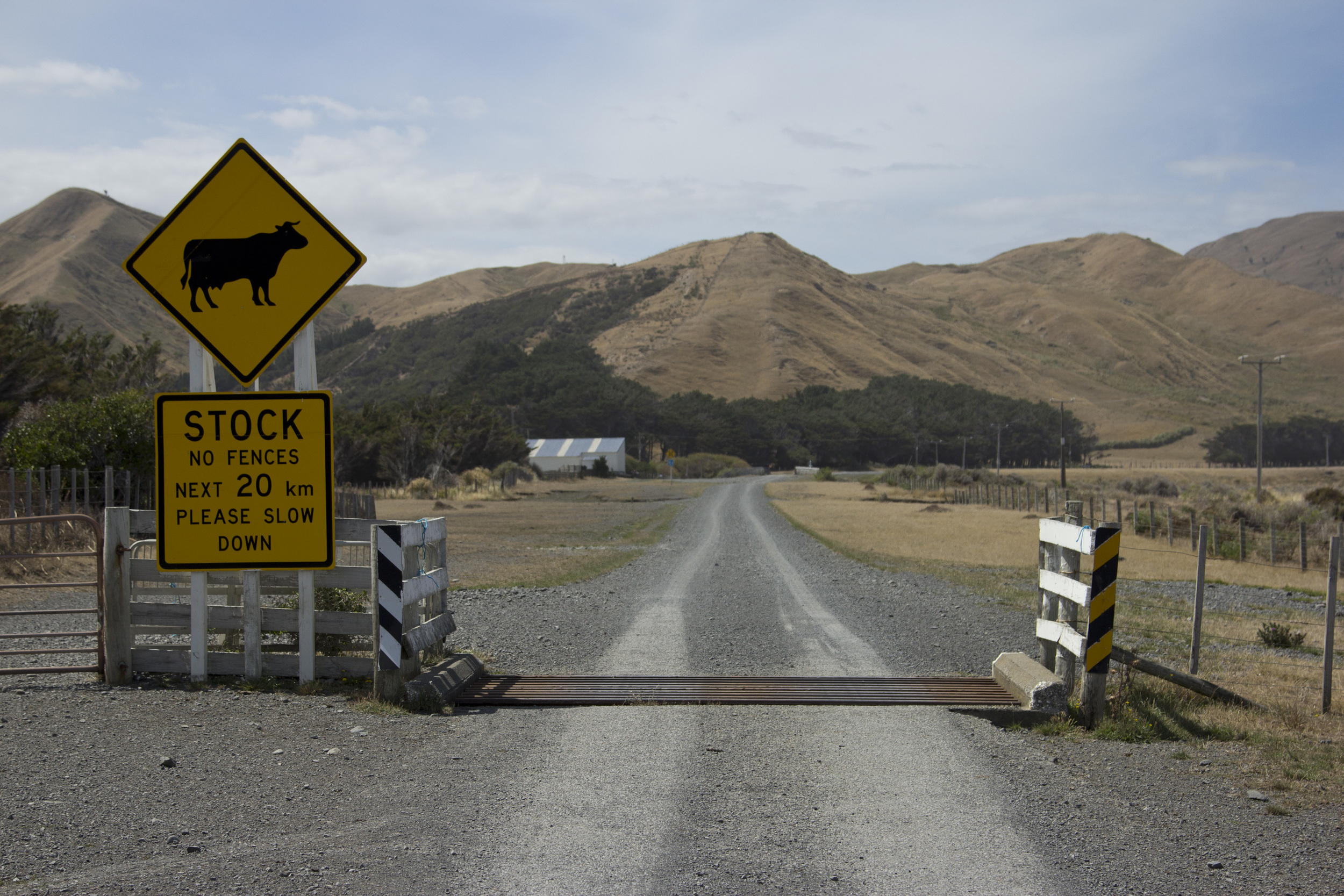 Wairarapa_and_WhiteRock003.jpg