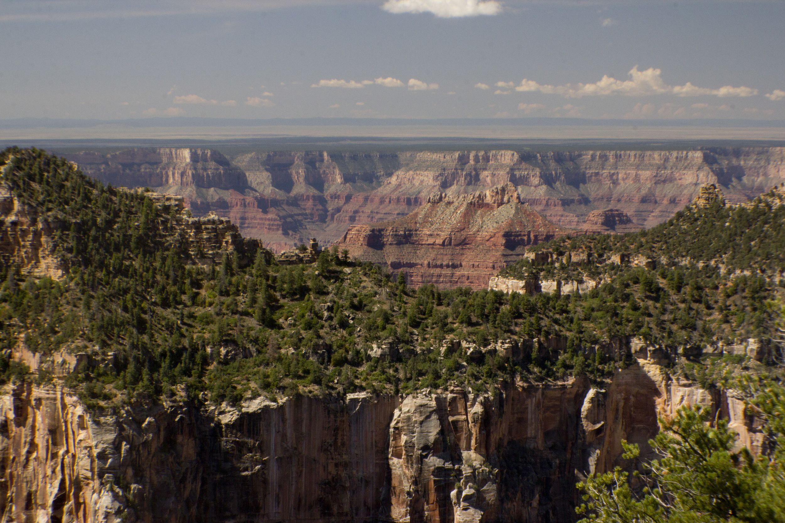 USA_crandcanyon004.jpg