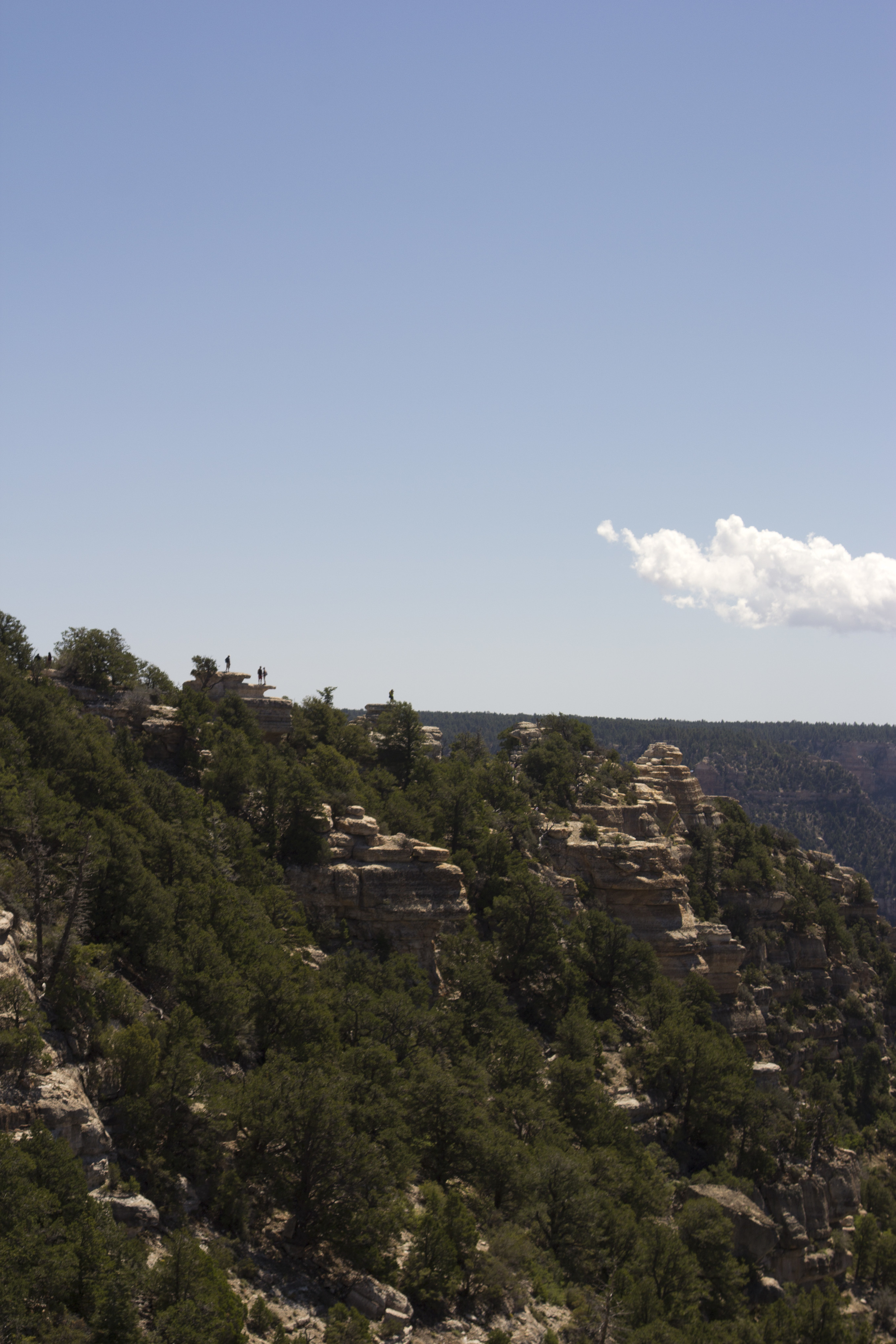 USA_crandcanyon008.jpg