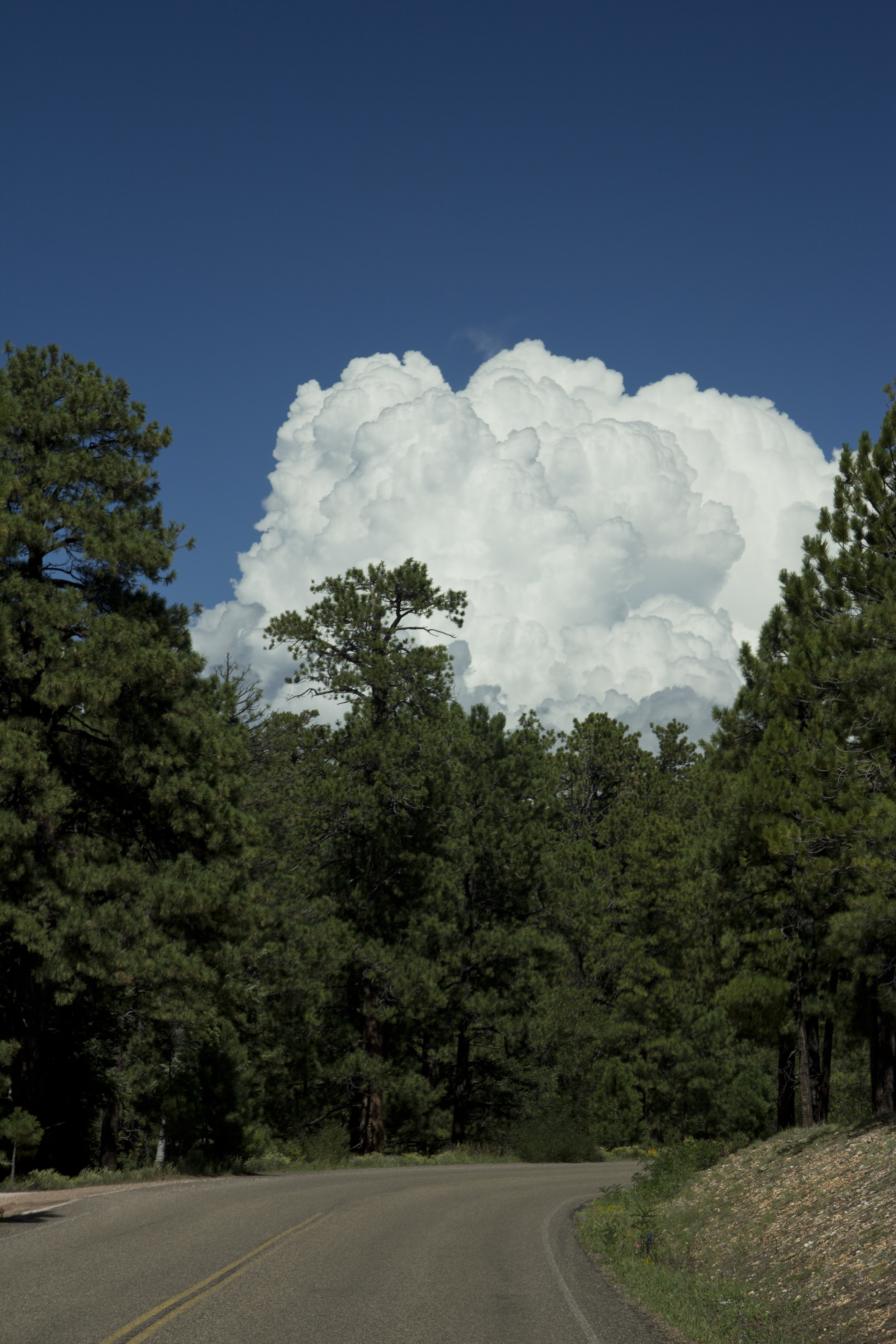 USA_crandcanyon020.jpg