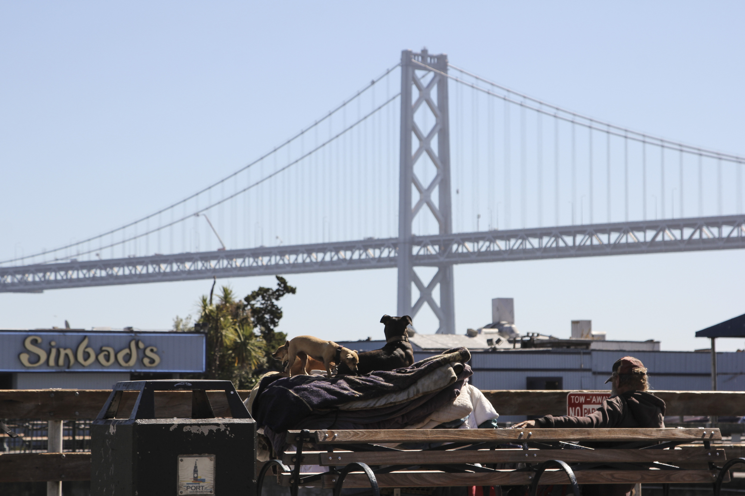 SF_01.jpg