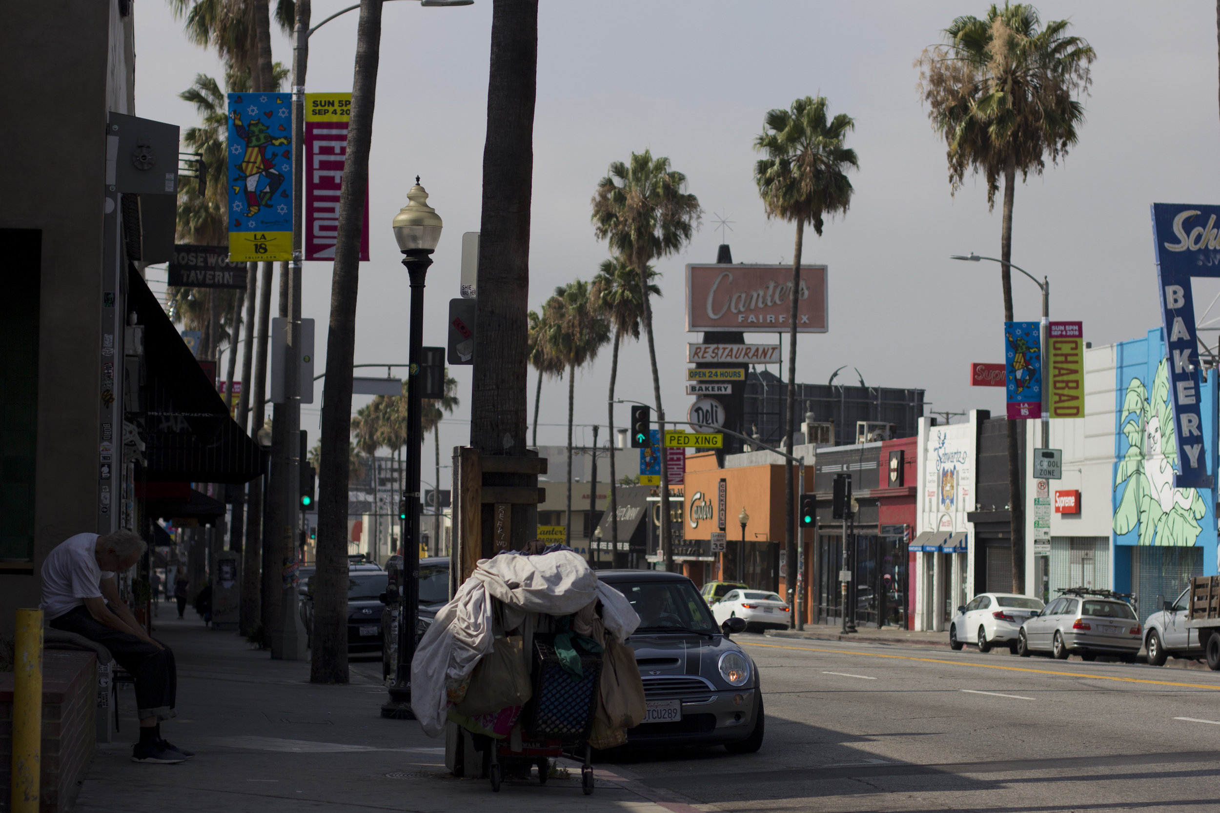 LA_5_38.jpg