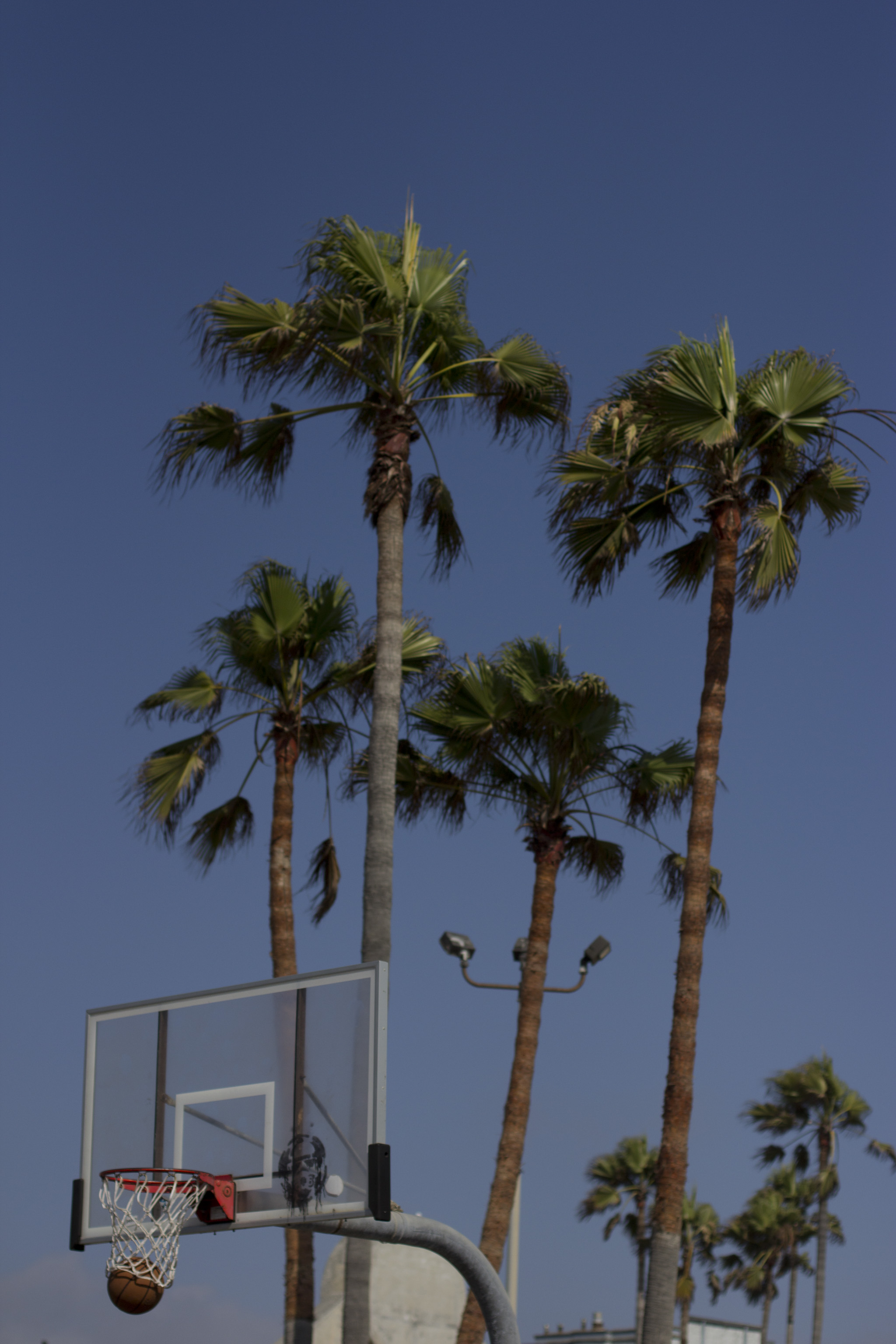 LA_5_57.jpg