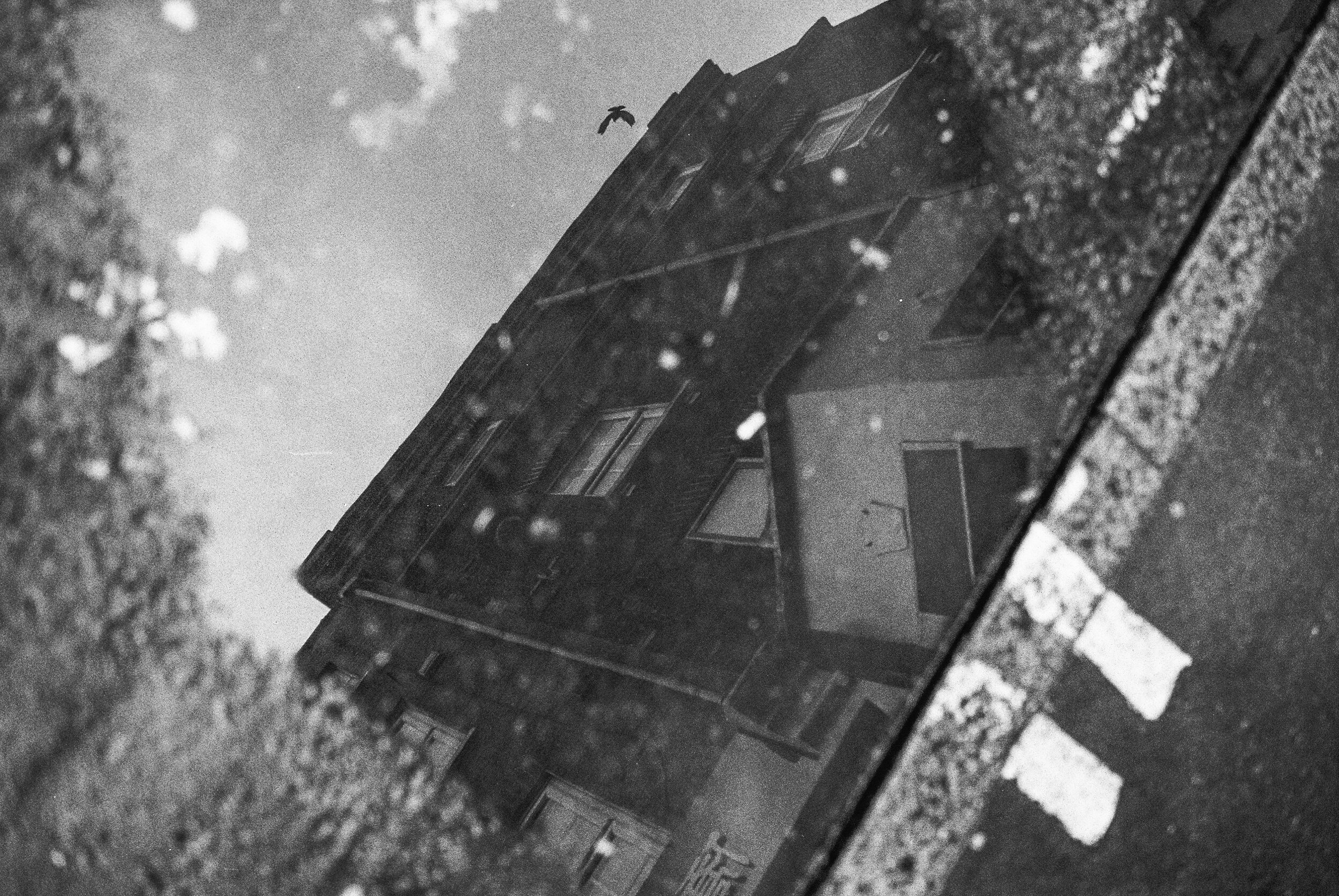 LND_BW-6.jpg