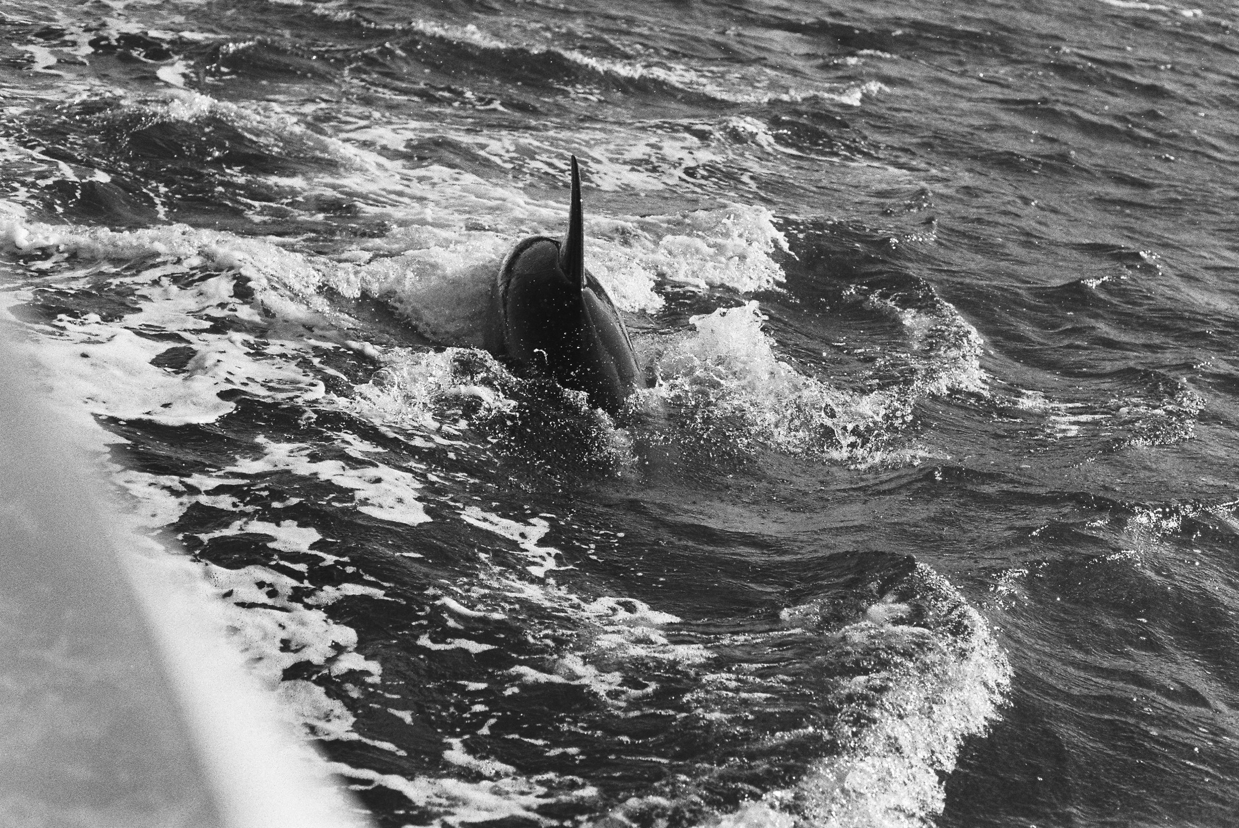 LND_BW-55.jpg