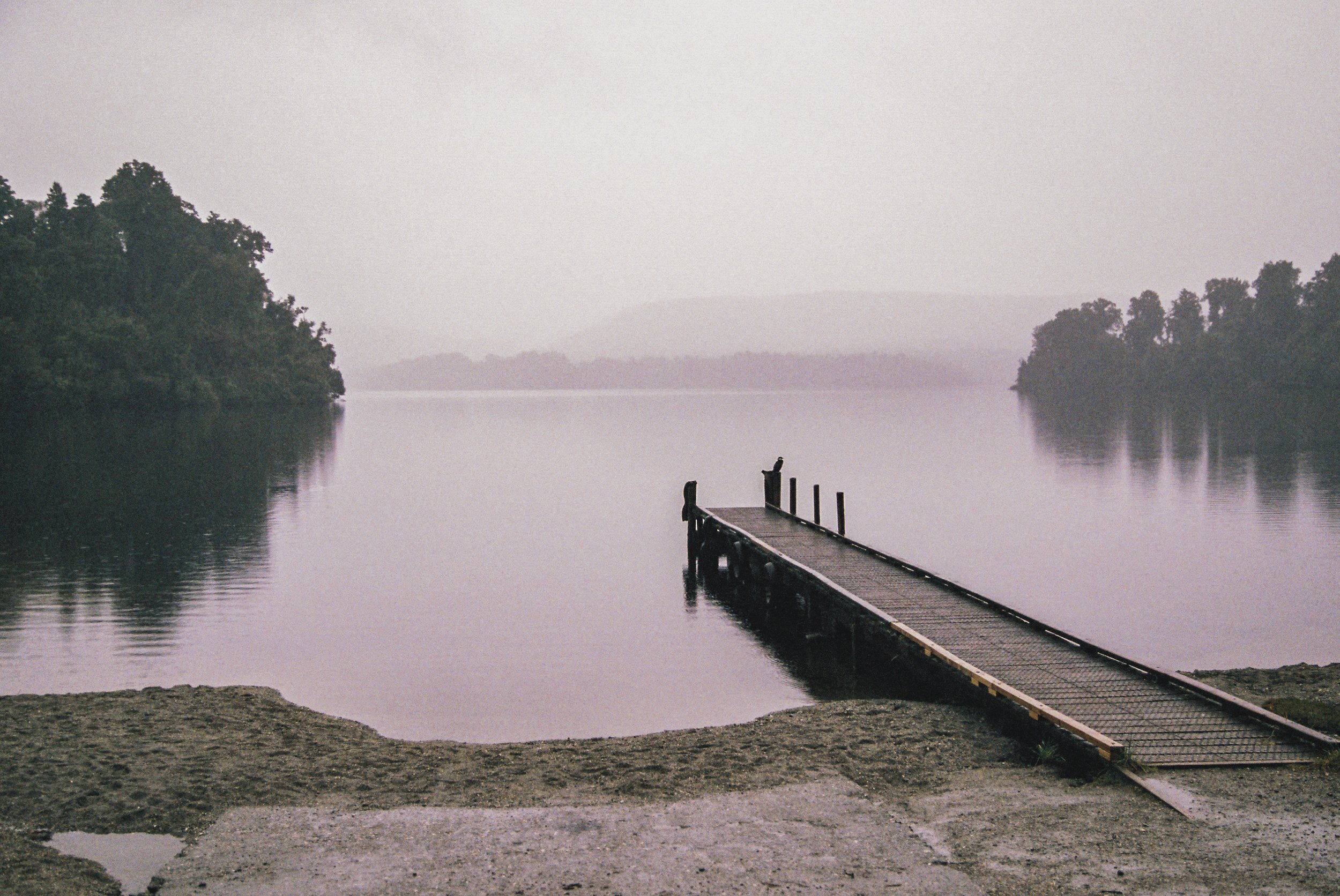 2020_SI_Colour_-9.jpg