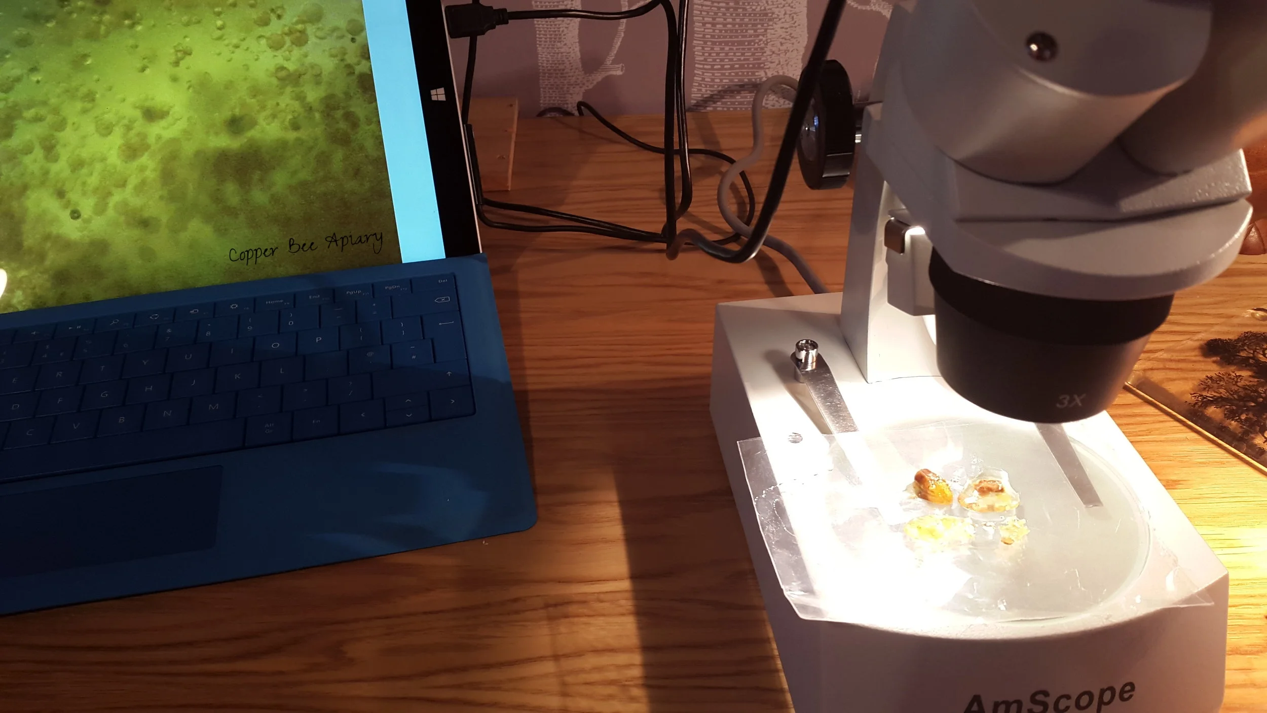 Looking at honey, wax and pollen with incident (reflected) light