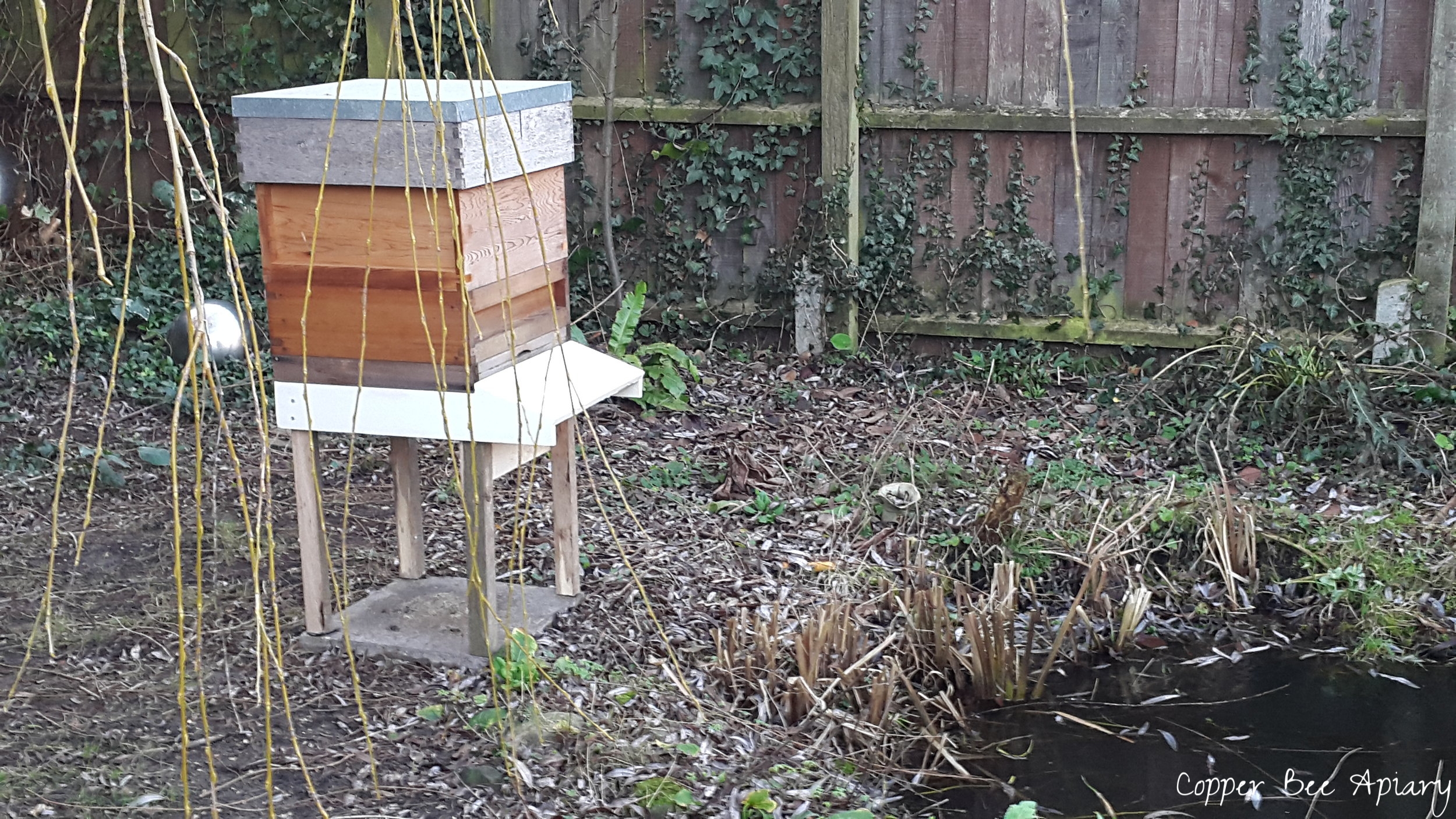 Pond Hive