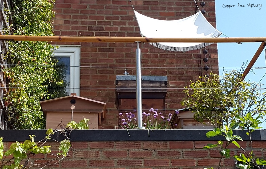 Gin Terrace