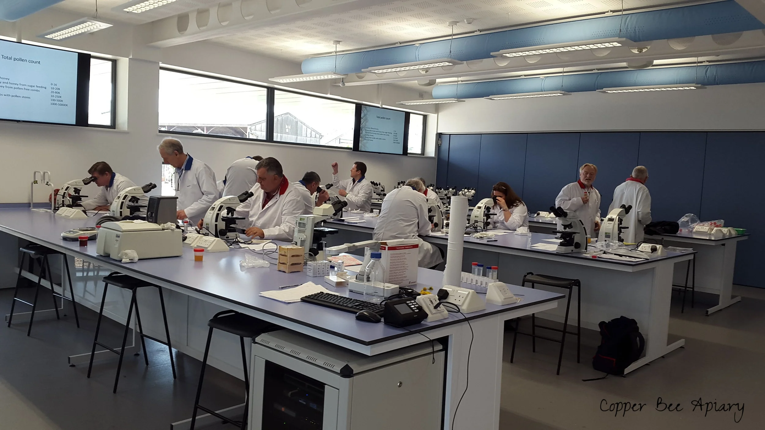 Workshop on pollen in honey led by Marin Anastasov and assisted by Jim Vivian-Griffiths