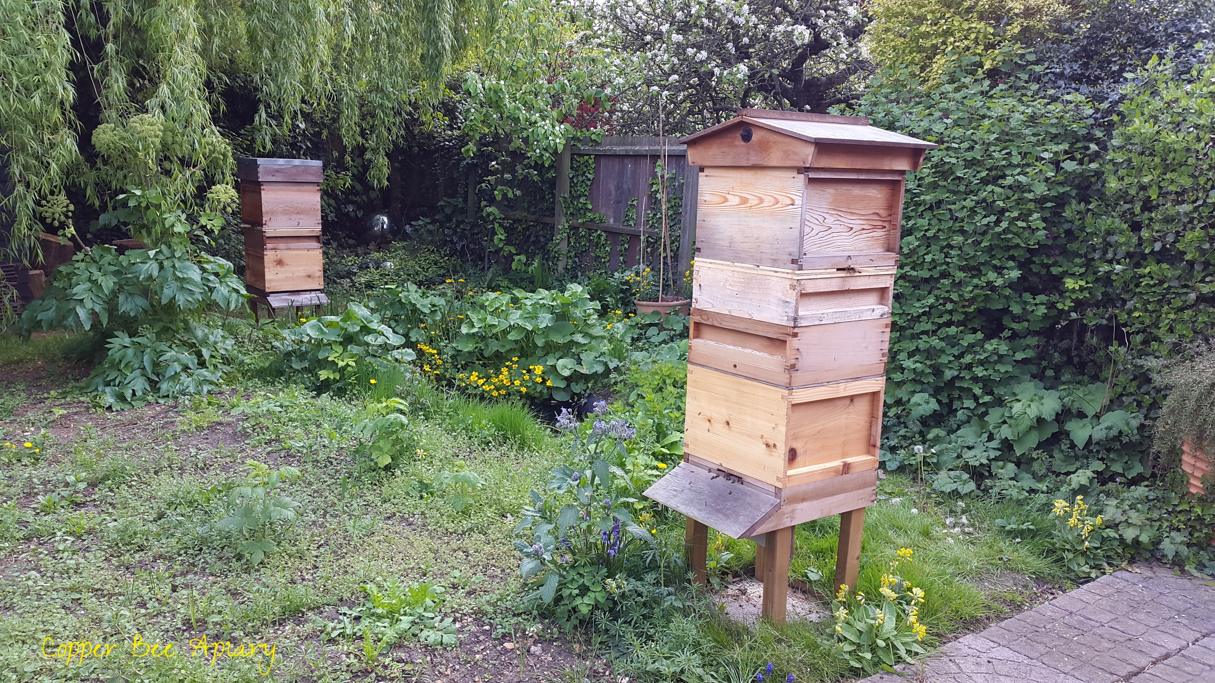 Vertically split Copper Hive and Pond Hive