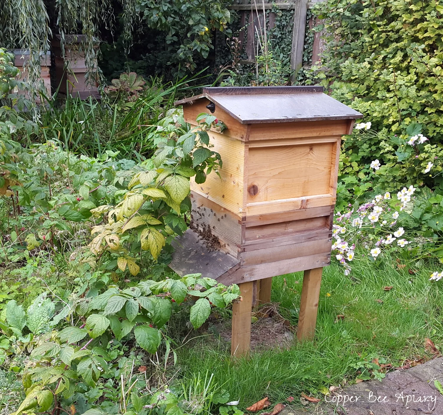 Busy bees of the Copper Hive