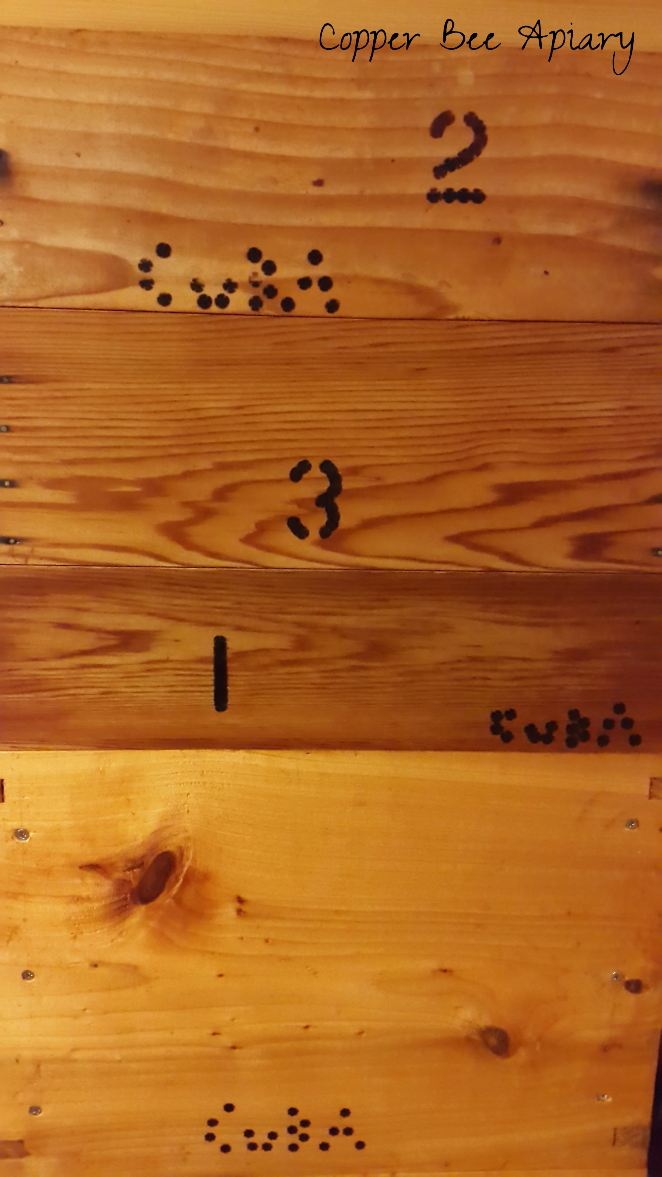 Stacked branded hive boxes.